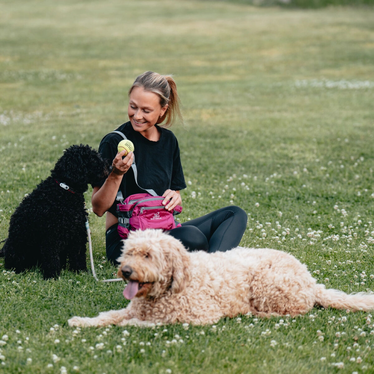 Una mujer sentada con dos perros, un caniche negro y un doodle dorado. Lleva un cinturón para correr.