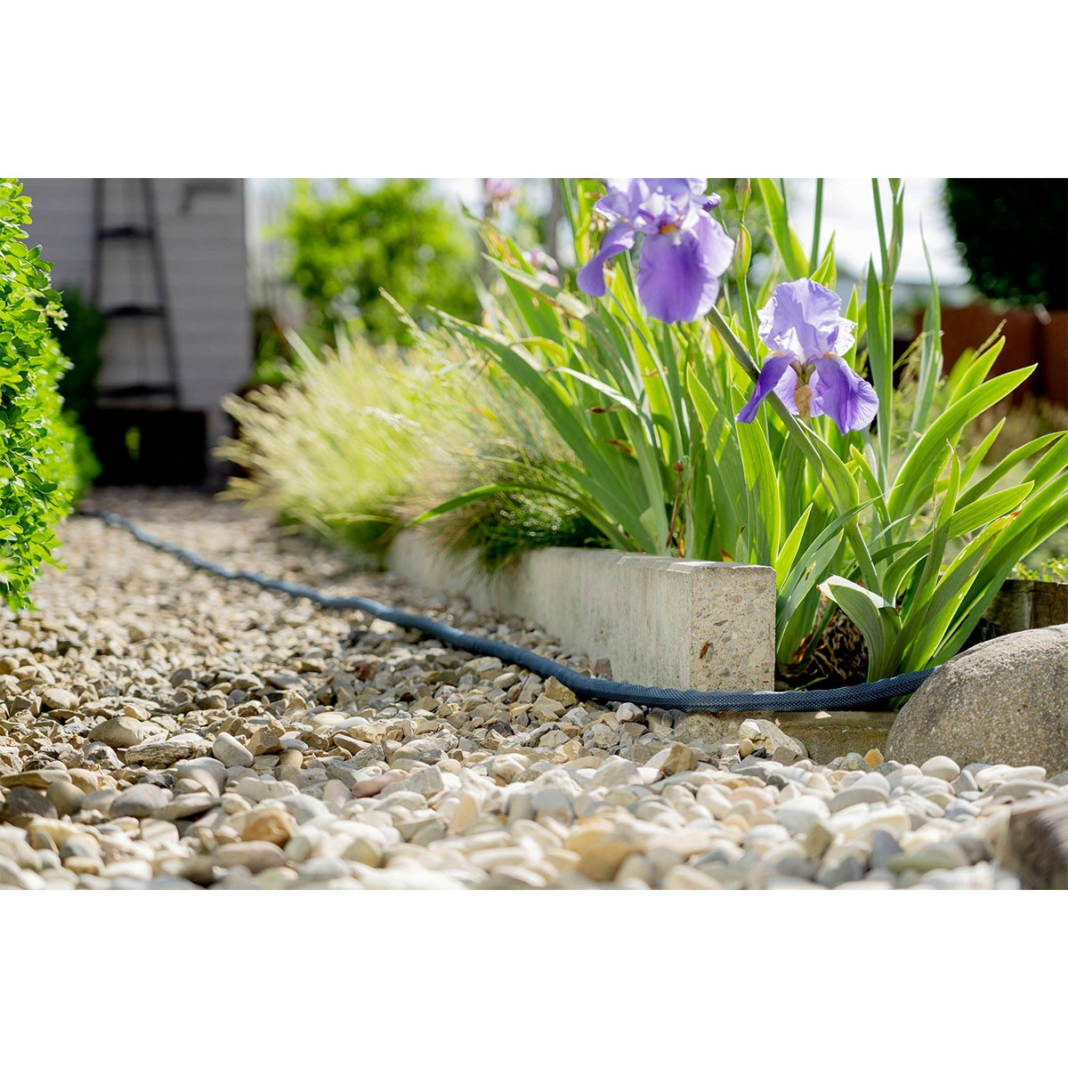 Giardino con un tubo che corre lungo il terreno. Fiori e ciottoli. Tubo blu. Piante verdi.