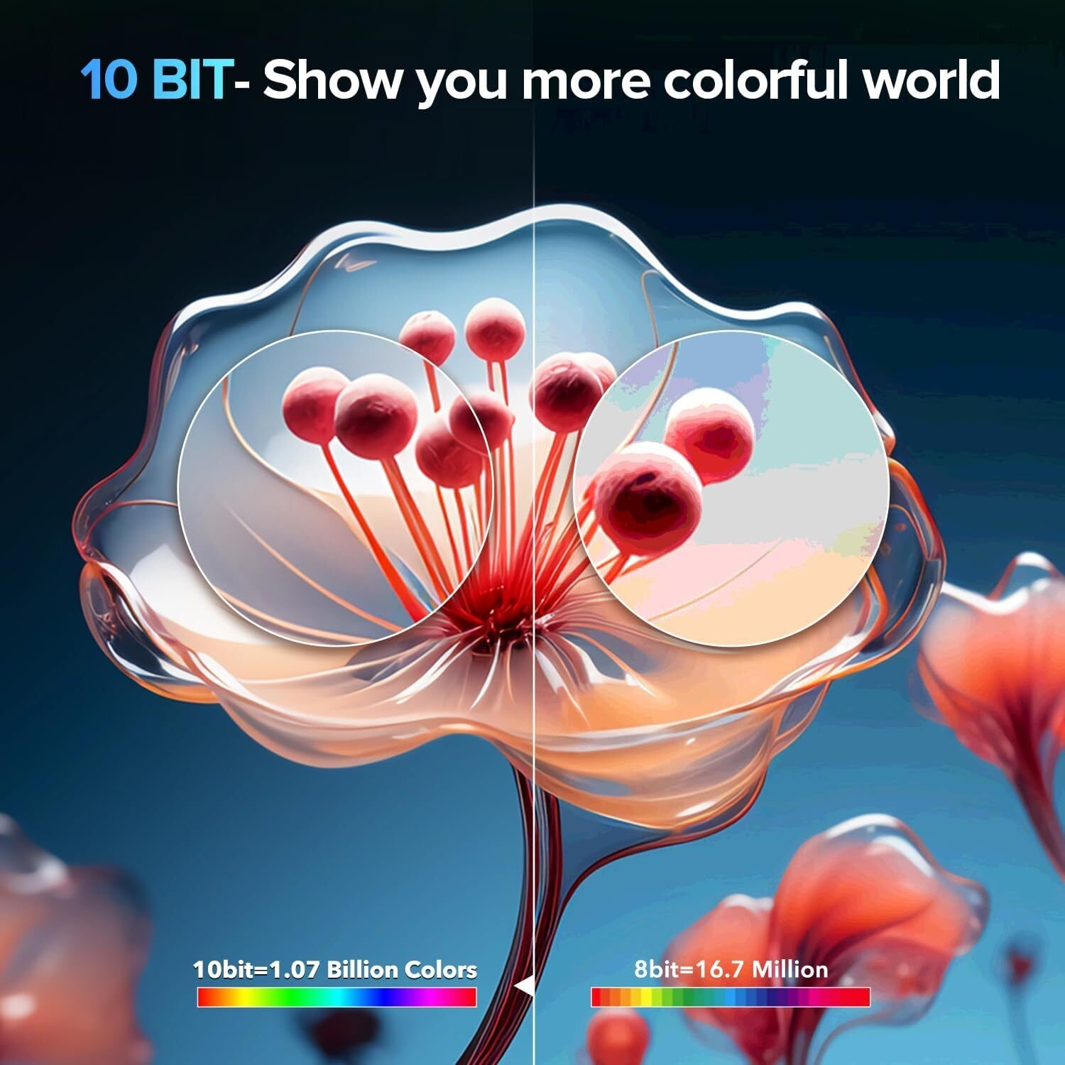 Comparación de representación de color: 10 bits vs. 8 bits. Flor colorida con círculos de enfoque.