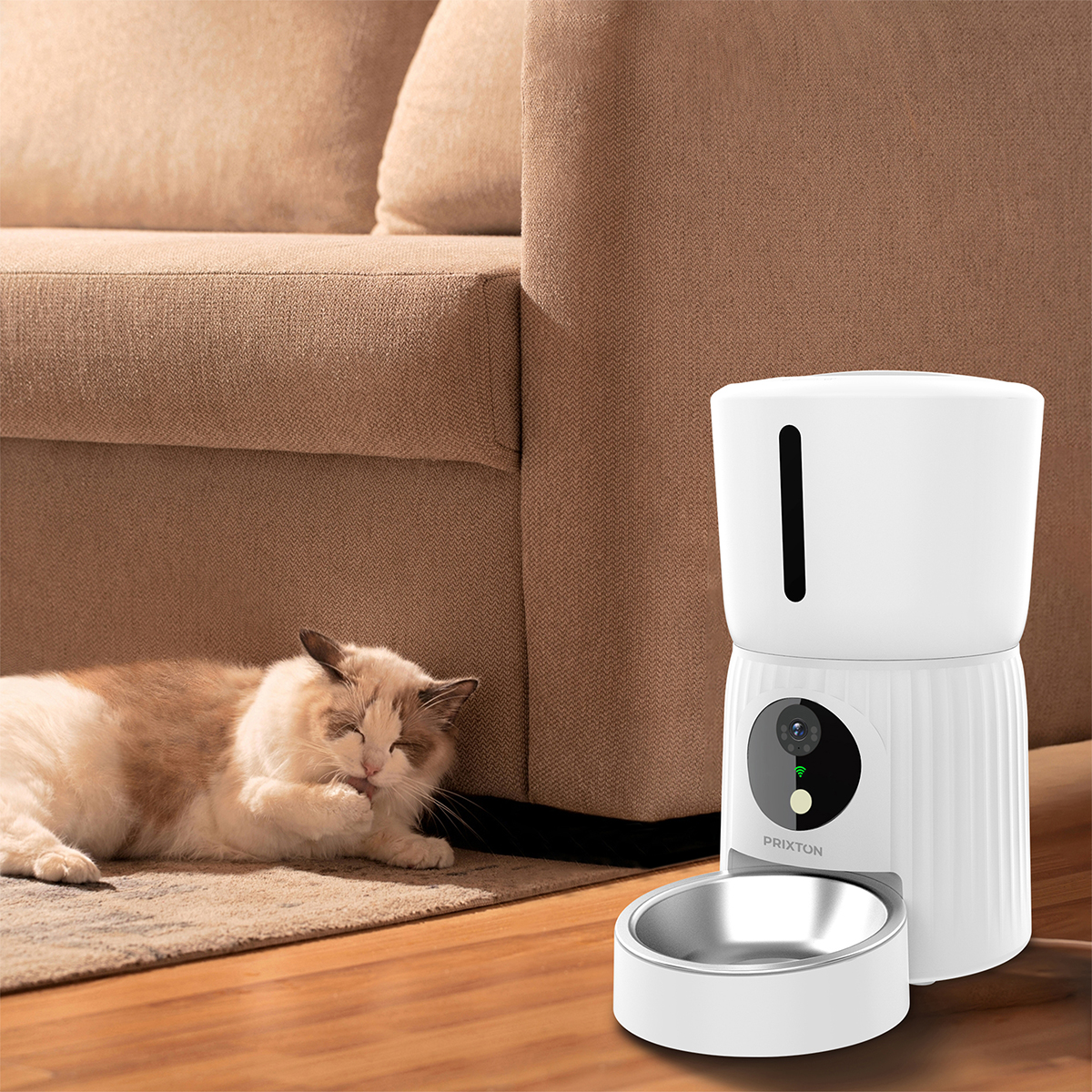 Kot leży w pobliżu automatycznego karmnika. Karmnik jest biały z miską ze stali nierdzewnej.