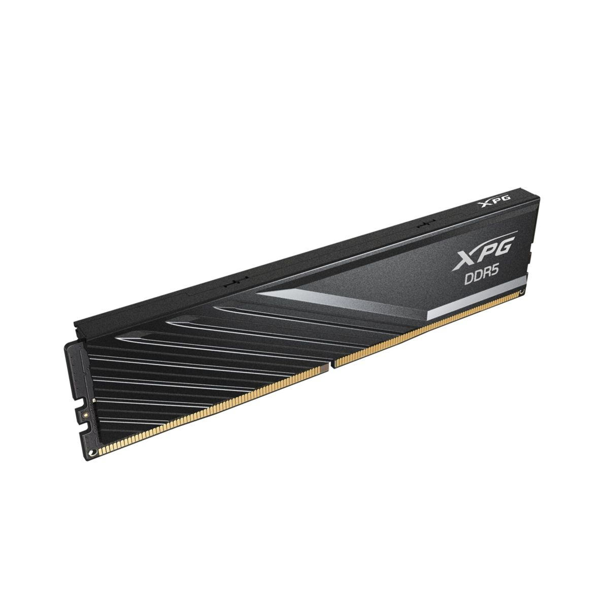Ein schwarzer RAM-Riegel mit XPG DDR5-Etikett, goldenen Anschlüssen und einem schwarz-grauen Design.