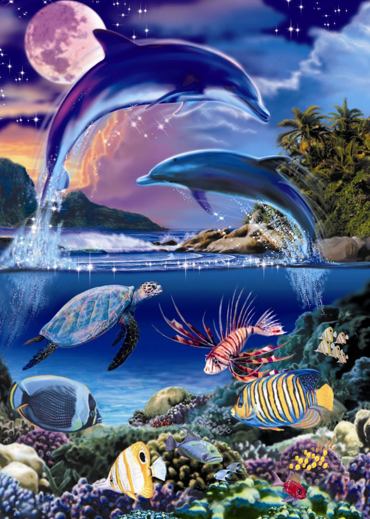 Zwei Delfine springen aus dem Wasser, mit Schildkröte und Fischen unter Wasser, Vollmond oben.