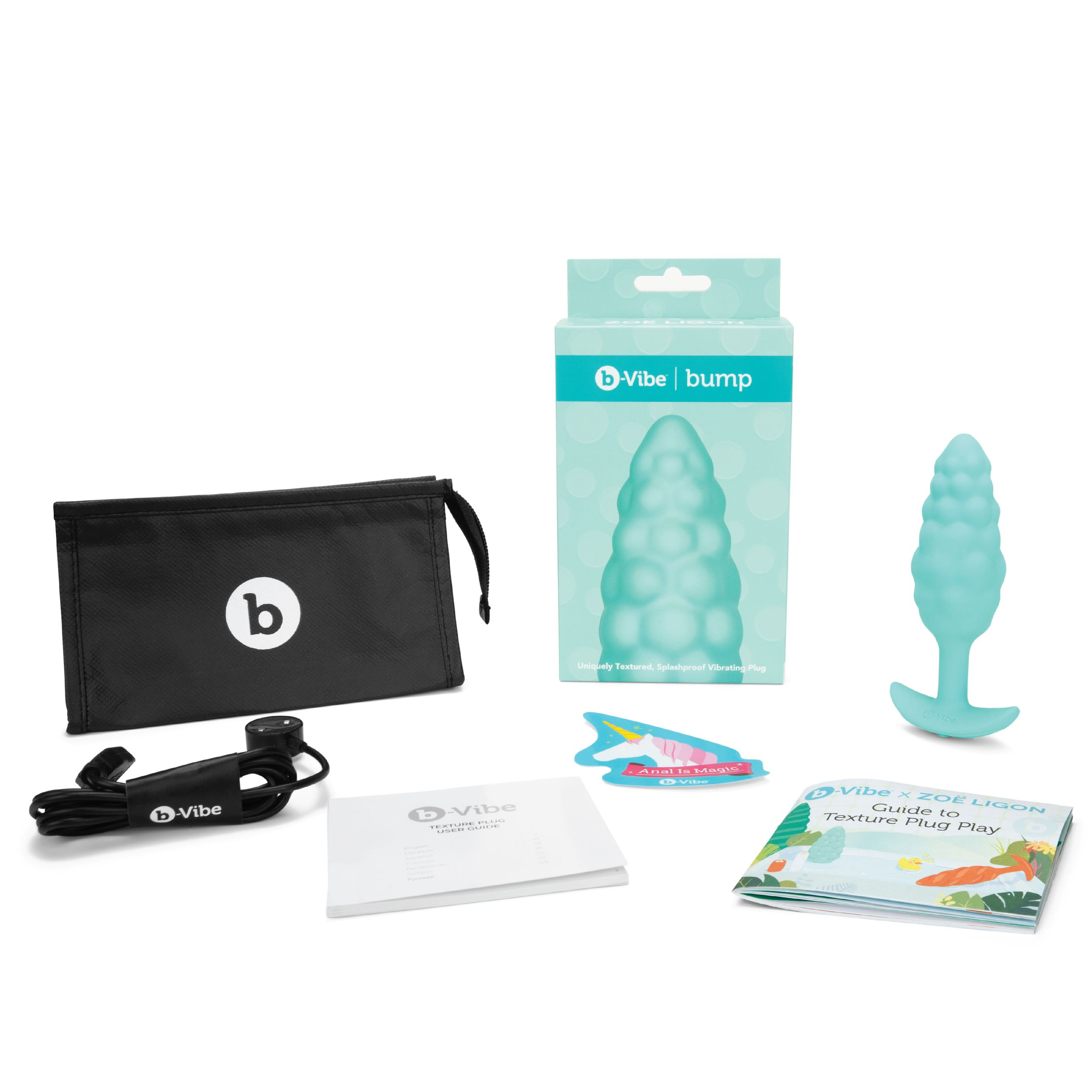 Eine Sammlung von Gegenständen, darunter ein Vibrator, ein schwarzer Beutel und ein Buch, alles auf weißem Hintergrund.
