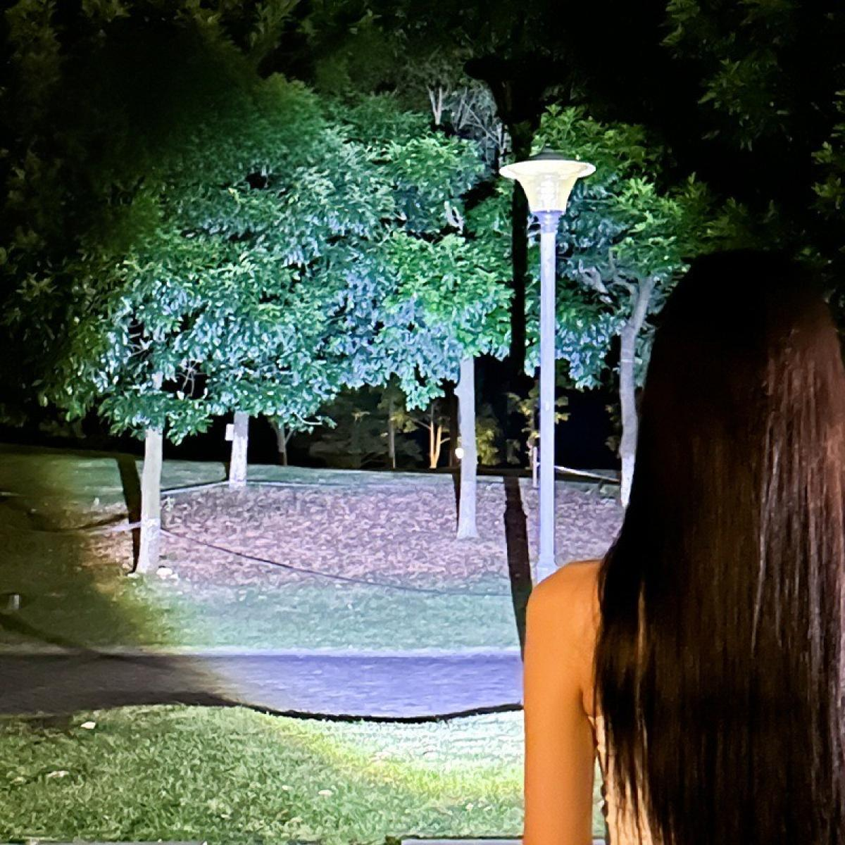 Eine Frau blickt nachts auf einen Park. Bäume werden von einer Lampe beleuchtet. Der Weg ist sichtbar. Der Himmel ist dunkel.
