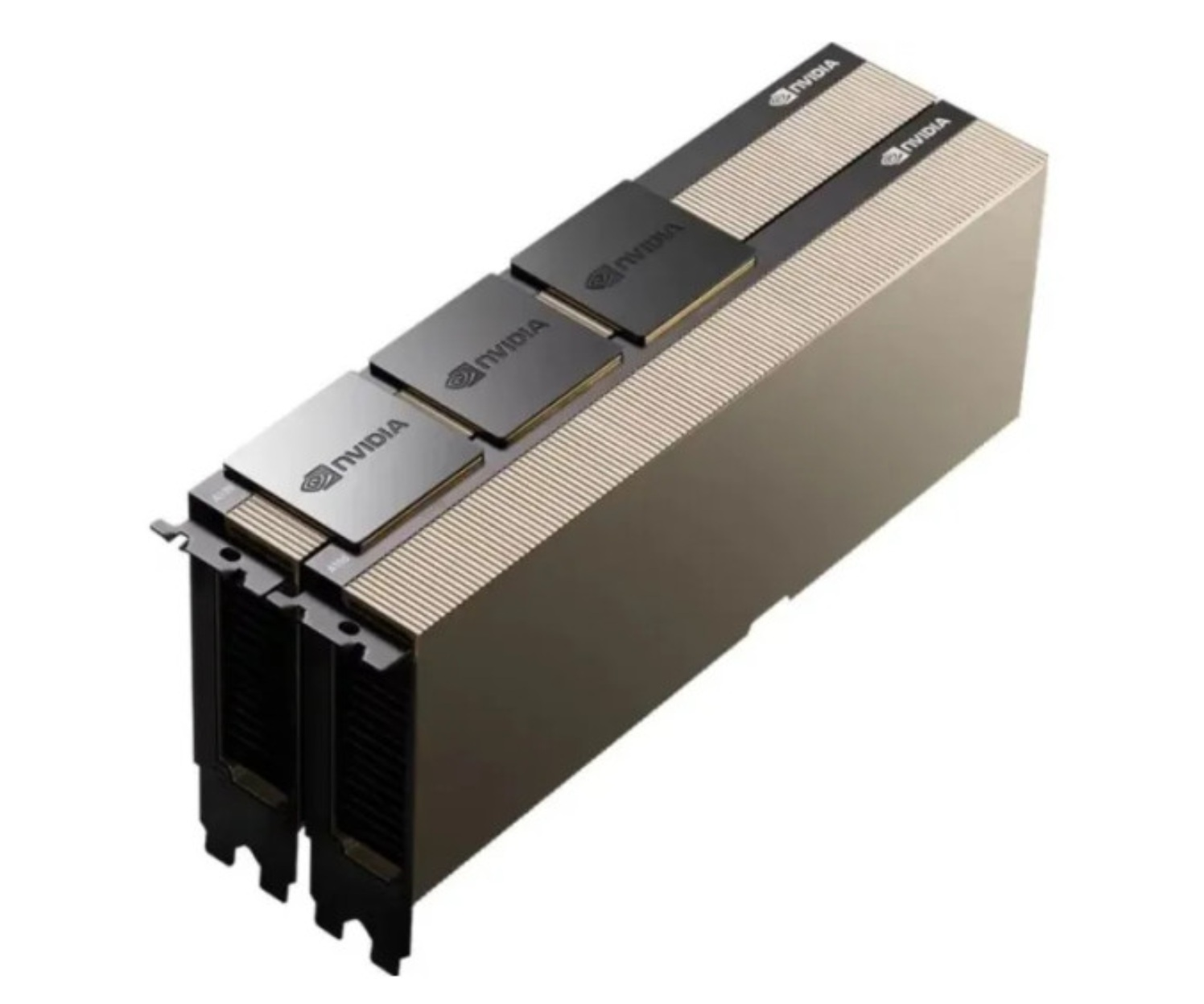 Una scheda grafica NVIDIA. È un dispositivo rettangolare con più chip e il logo NVIDIA. La scheda ha una combinazione di colori oro e nero.