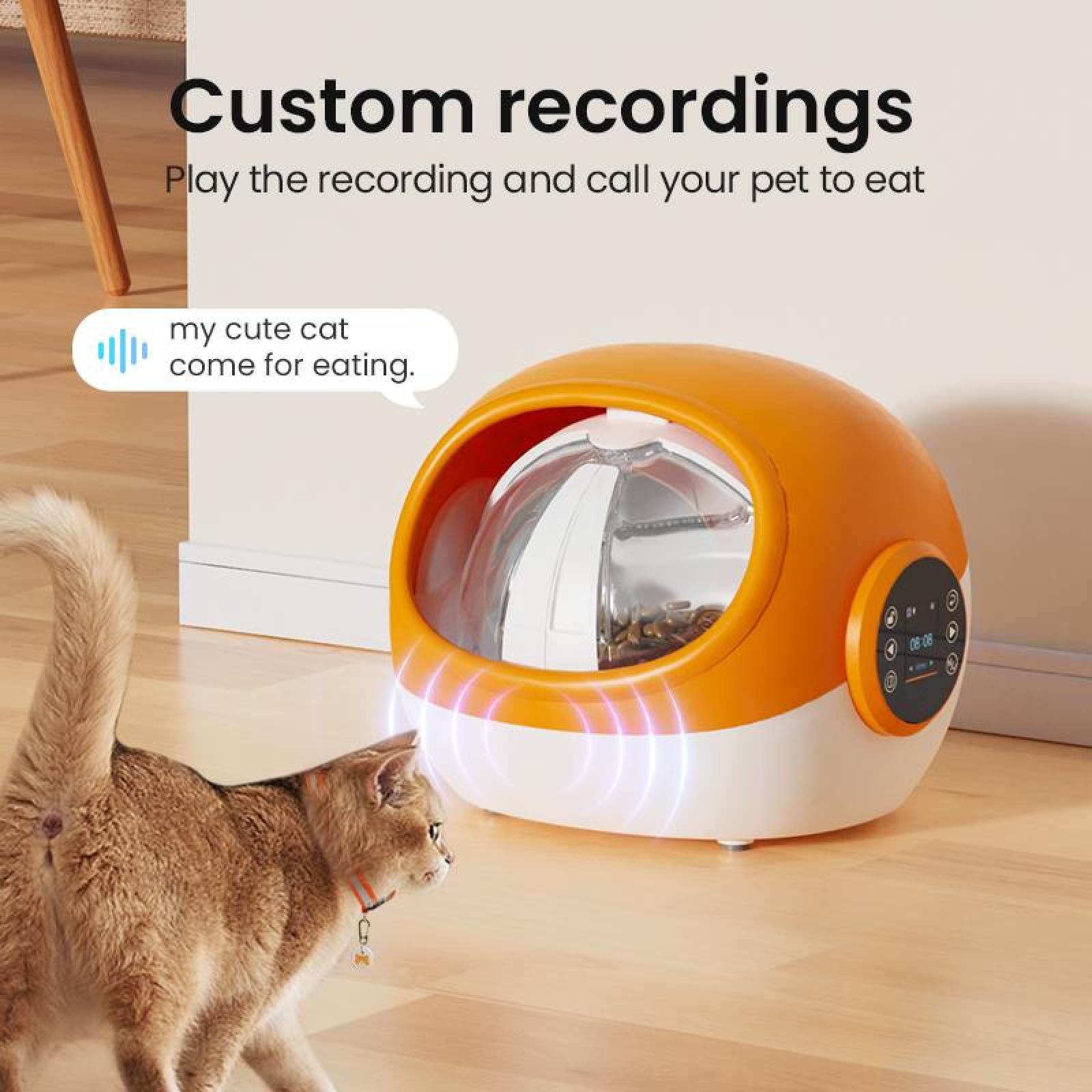Eine Katze blickt auf einen intelligenten Futterautomaten. Der Futterautomat ist orange und weiß. Text: Benutzerdefinierte Aufnahmen, Aufnahme abspielen und Ihr Haustier rufen.