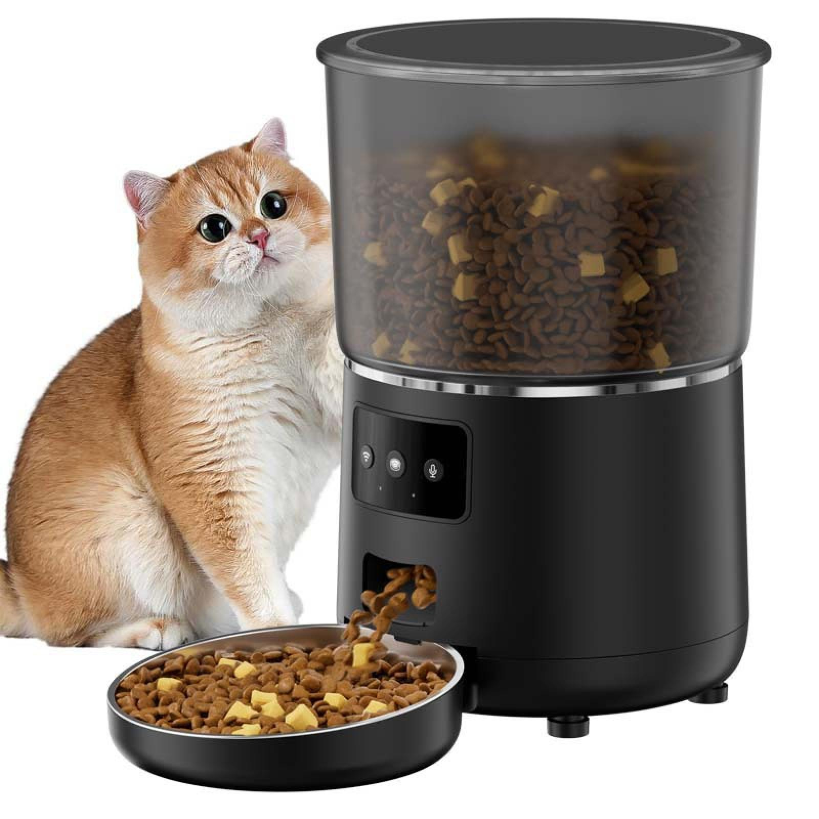 Eine Katze blickt auf einen schwarzen, automatischen Futterautomaten. Futter wird in eine Schüssel abgegeben. Die Katze ist orange und weiß.