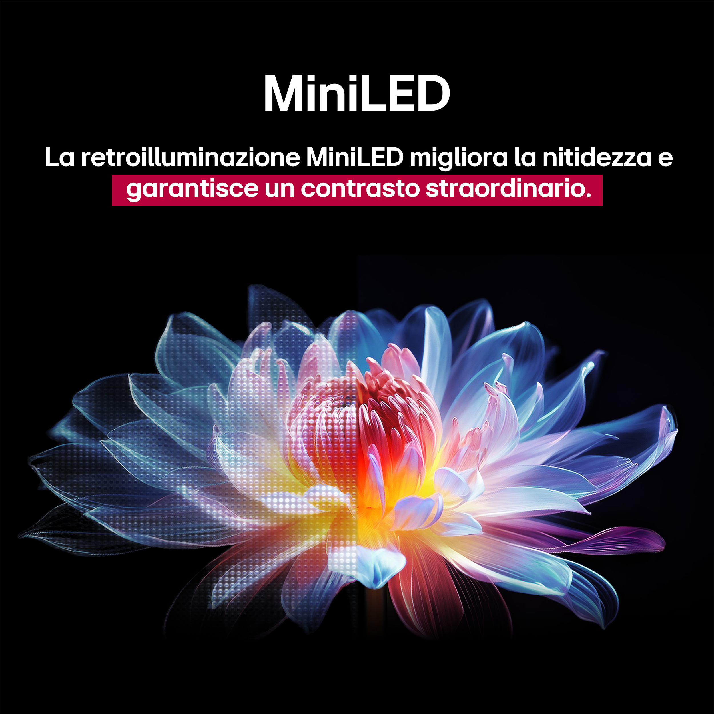 L'immagine mostra un fiore con effetti di luce digitale. Il testo dice che MiniLED migliora la nitidezza e garantisce contrasto.