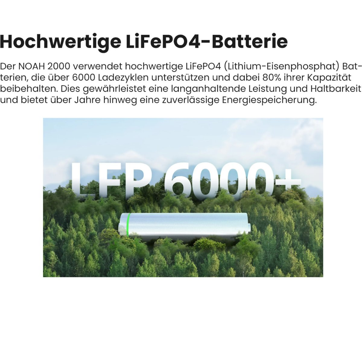 Eine Batterie mit dem Text 'LFP 6000+', vor einem Waldhintergrund. Text oben lautet 'Hochwertige LiFePO4-Batterie' auf Deutsch.