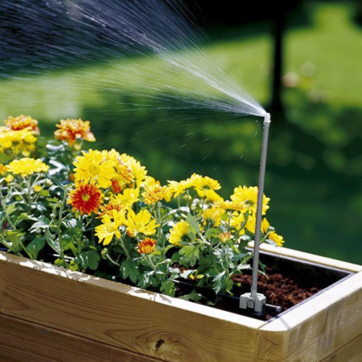 Una jardinera de madera contiene flores amarillas y rojas. Un aspersor rocía agua sobre las flores. Fondo verde.