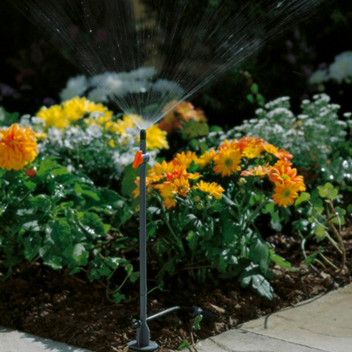 Un irrigatore spruzza acqua su fiori colorati. Fiori arancioni, gialli e bianchi sono visibili nel giardino. Lo sfondo è scuro.