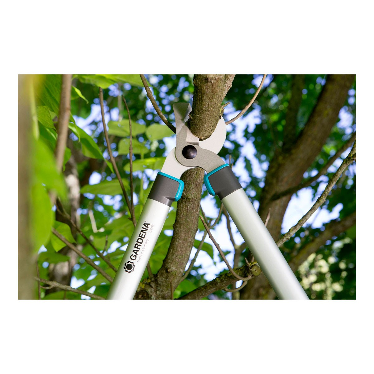 Forbici da giardinaggio che tagliano un ramo di albero. Le forbici sono argentate con dettagli turchesi. Lo sfondo è un fogliame sfocato e il cielo.