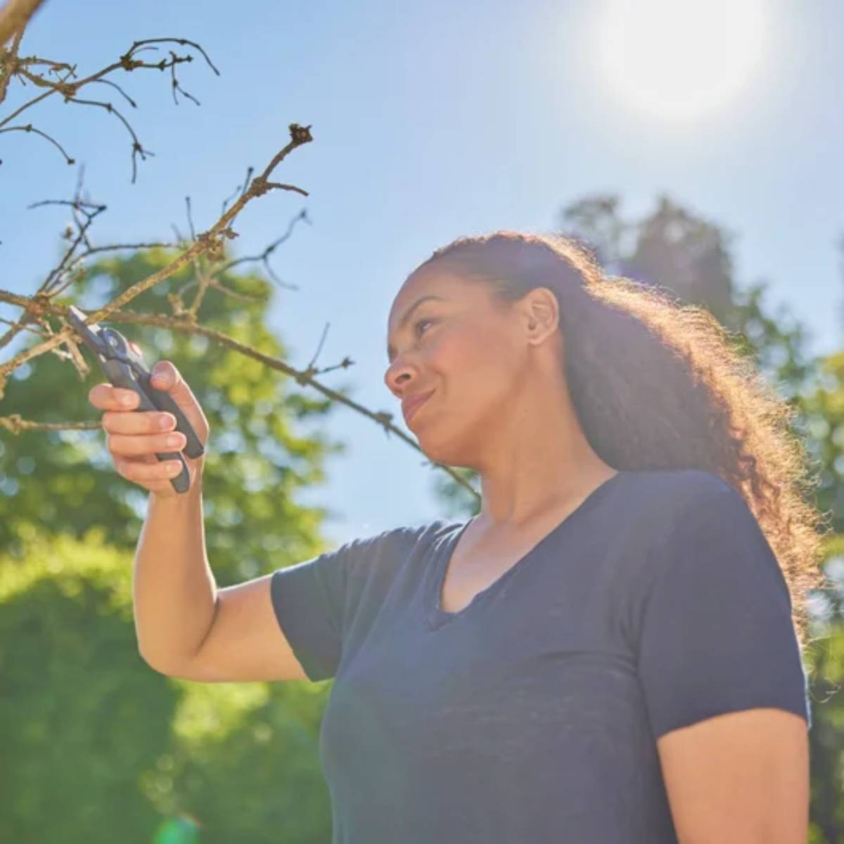 Kobieta z ciemnymi kręconymi włosami przycina gałąź sekatorem pod jasnym słońcem. Ma na sobie ciemnoniebieską koszulę.