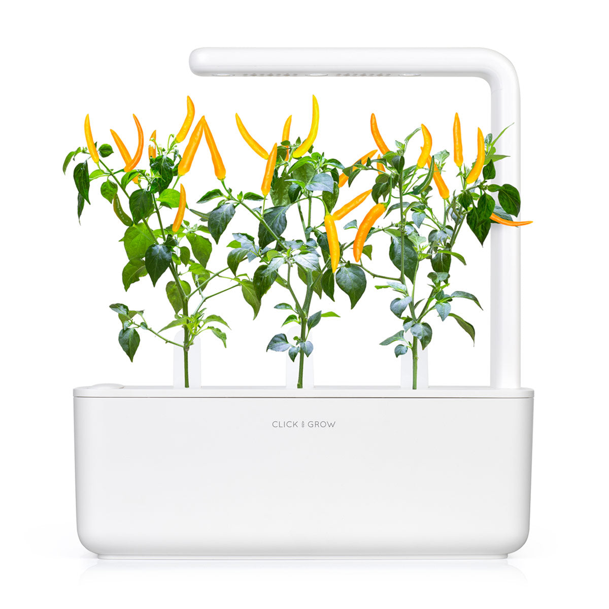 Un jardin d'intérieur Click & Grow blanc avec des plants de piments. Des piments jaunes et des feuilles vertes sont visibles.