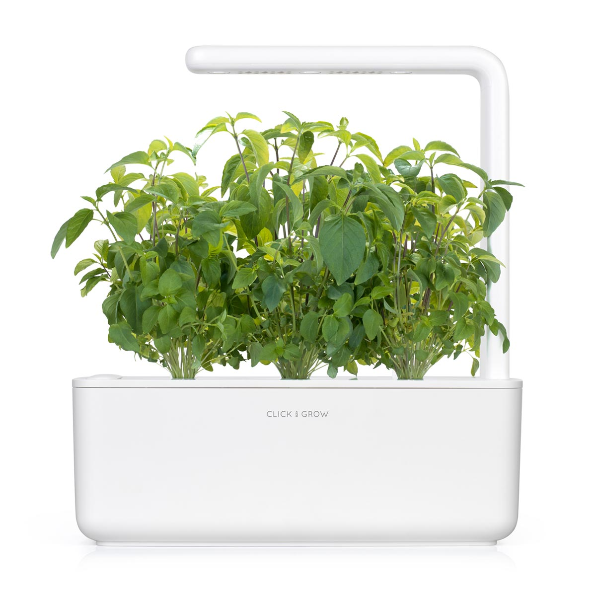 Un jardin d'intérieur blanc avec des plantes vertes et une lampe de croissance. Les plantes sont luxuriantes et saines, dans un pot rectangulaire blanc.