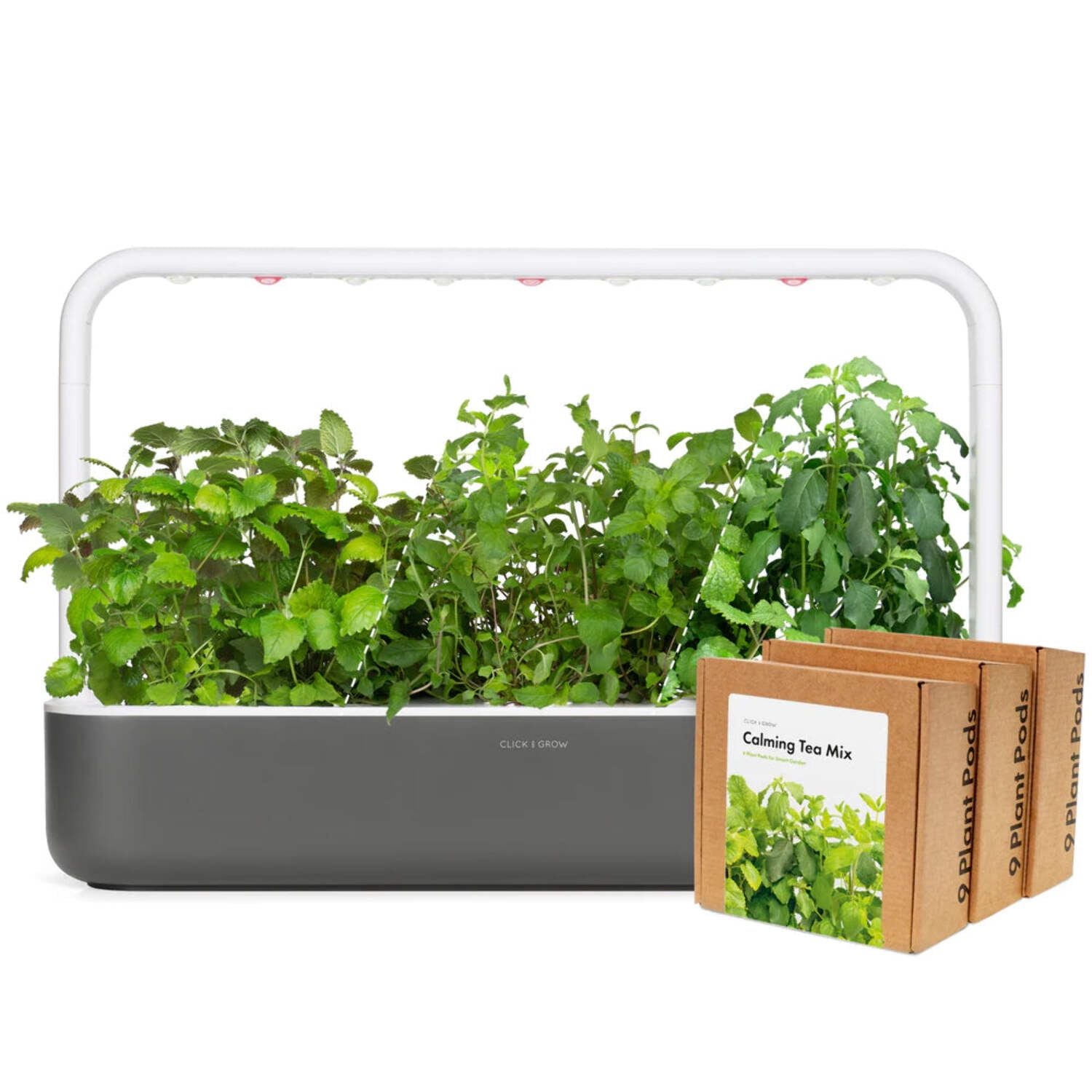 Jardin intérieur avec plantes vertes, cadre blanc et boîtes marron étiquetées 'Calming Tea Mix'. Les mots 'CLICK & GROW' sont visibles.