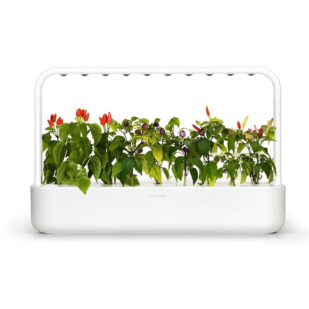 Jardin d'intérieur blanc avec diverses plantes, dont des piments à différents stades de croissance et de couleur, sous des lumières LED blanches.