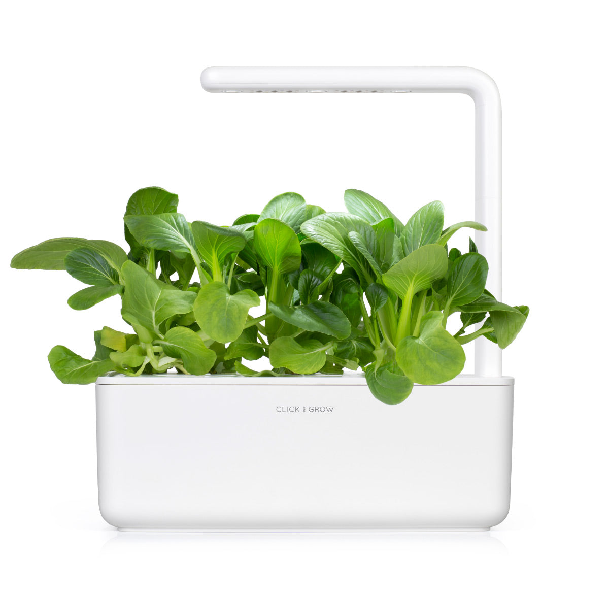Un jardin d'intérieur blanc Click & Grow avec des plantes à feuilles vertes. La structure comprend une lumière au-dessus. Le fond est blanc uni.