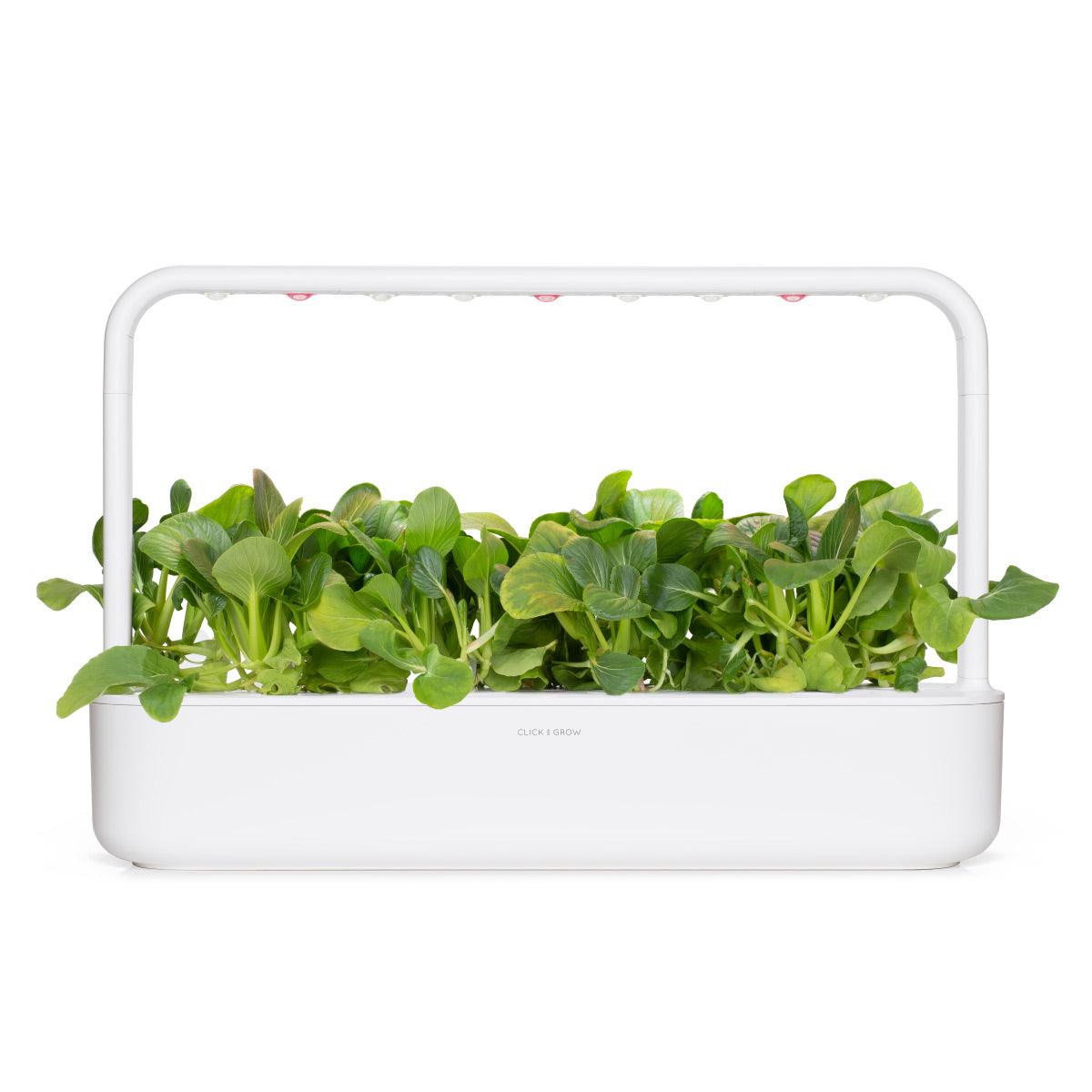 Une jardinière rectangulaire blanche avec des plantes vertes à l'intérieur. Au-dessus, un cadre blanc avec des lumières. Le fond est blanc.