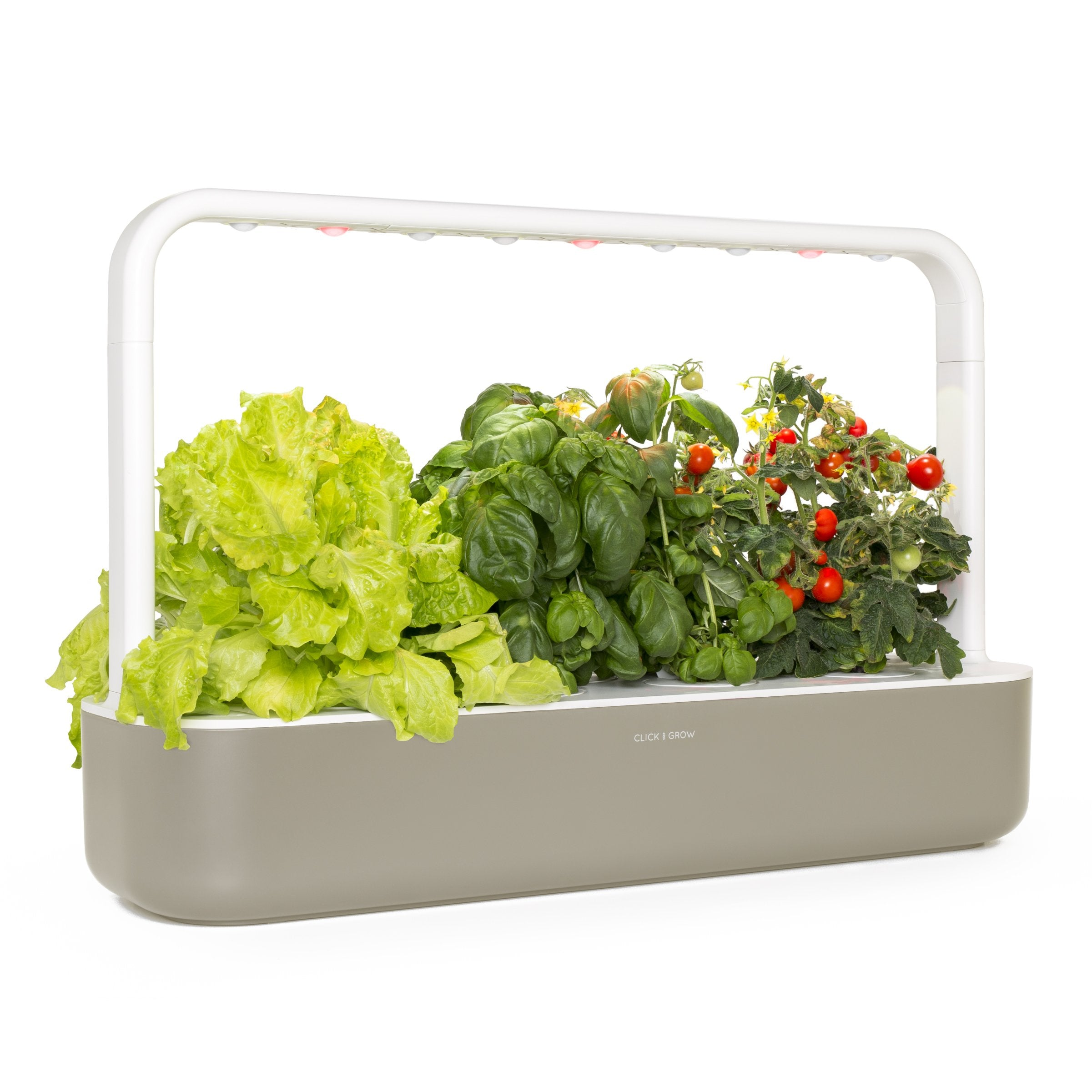 Een grijze binnentuin met sla, basilicum en tomatenplanten onder witte LED-verlichting. De tuin staat op een witte achtergrond.