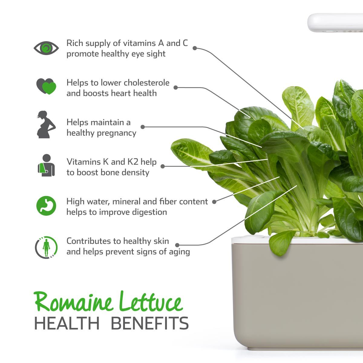 L'image montre de la laitue romaine avec des bienfaits pour la santé. Vue, santé cardiaque, grossesse, densité osseuse, digestion et santé de la peau sont mentionnés.
