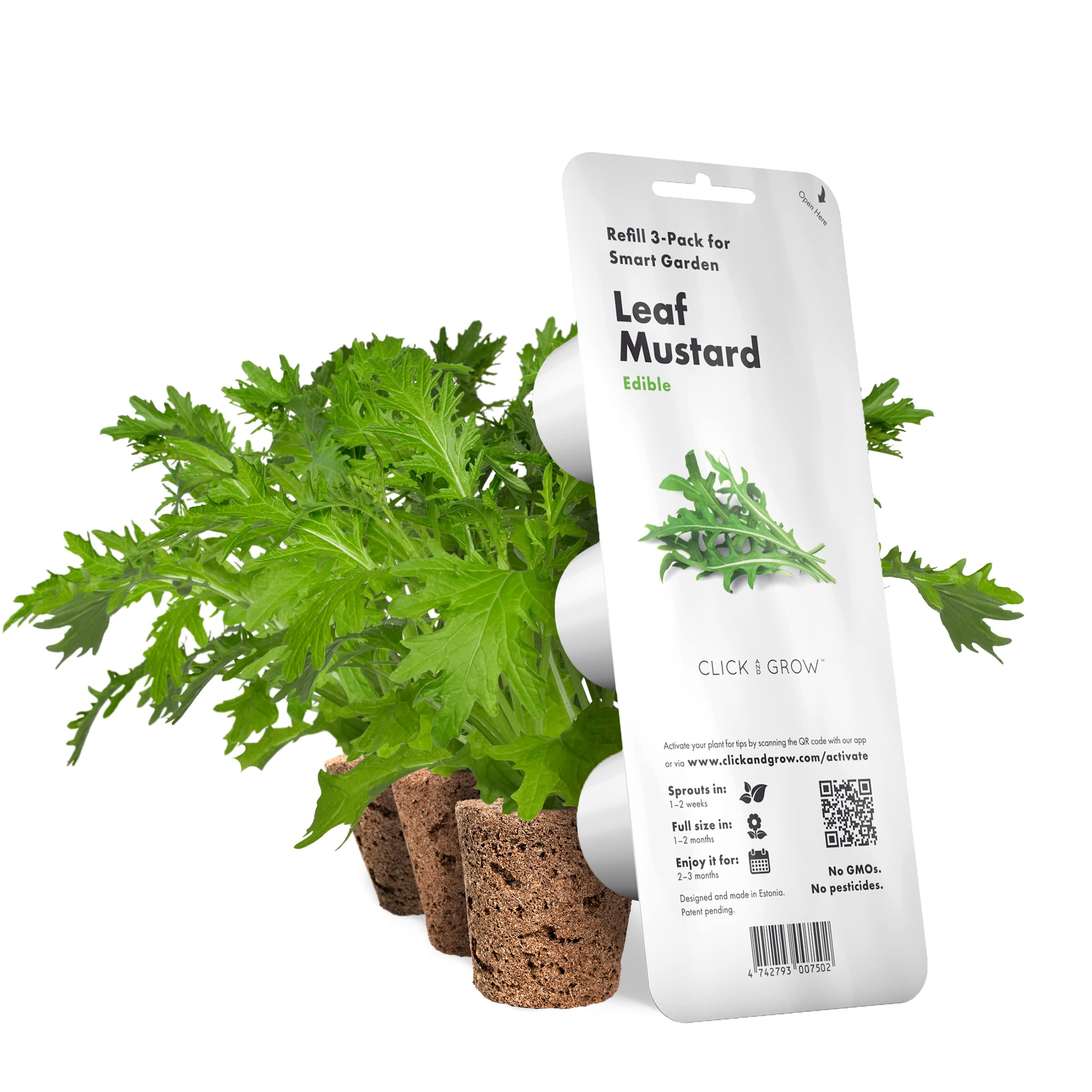 Un paquet de Moutarde à feuilles pour le Smart Garden, avec des feuilles vertes et de la terre brune. Le fond est blanc.