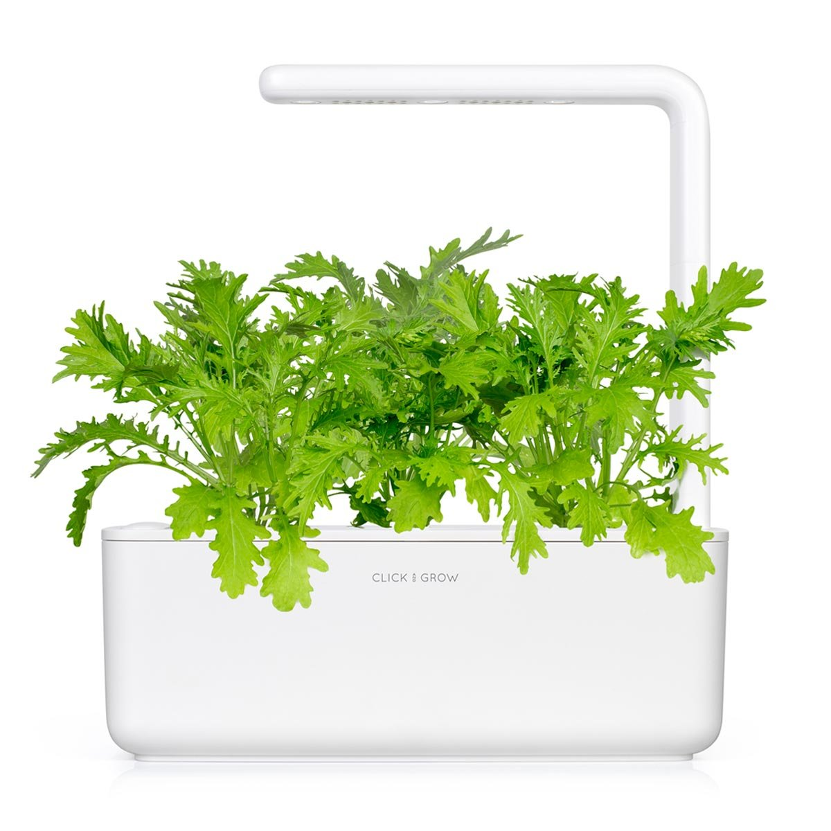 Un jardin d'intérieur blanc avec des plantes vertes. Une lumière blanche au-dessus. Les mots 'CLICK & GROW' sont écrits devant.
