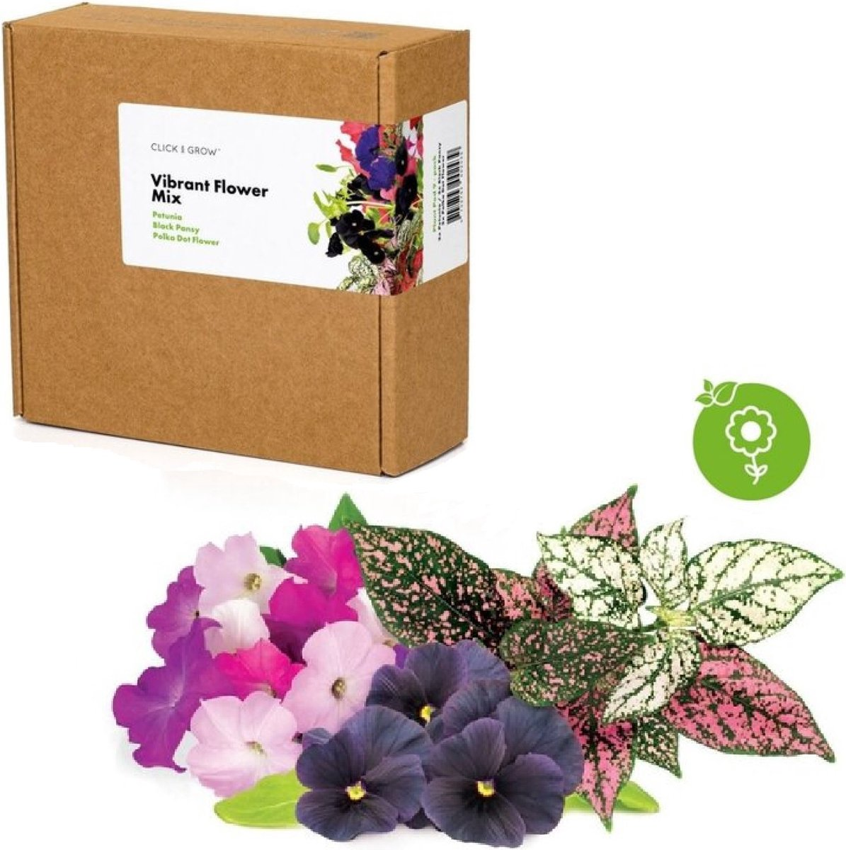 Une boîte en carton étiquetée "Vibrant Flower Mix" à côté d'un bouquet de fleurs colorées, dont des pensées et des plantes pois.