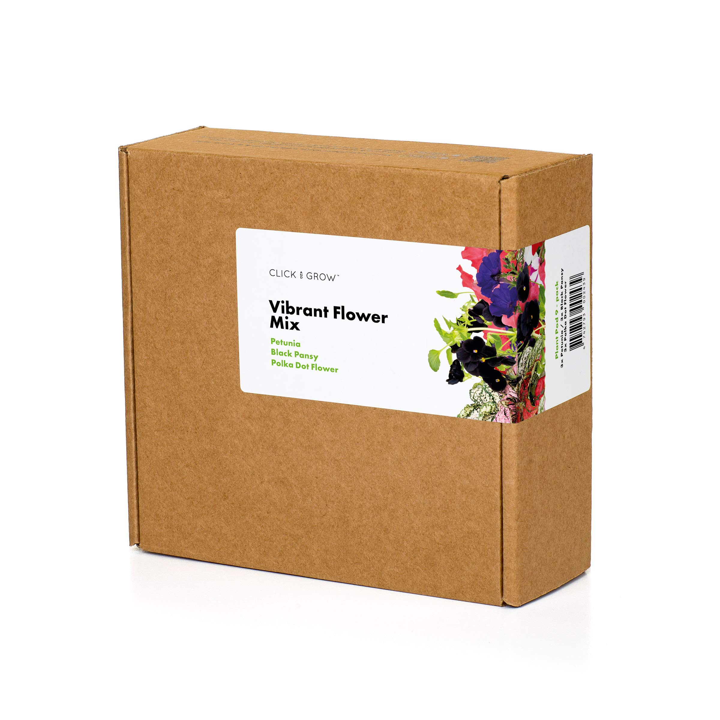 Une boîte en carton marron avec une étiquette blanche montrant des fleurs colorées. La boîte est intitulée 'Vibrant Flower Mix'.