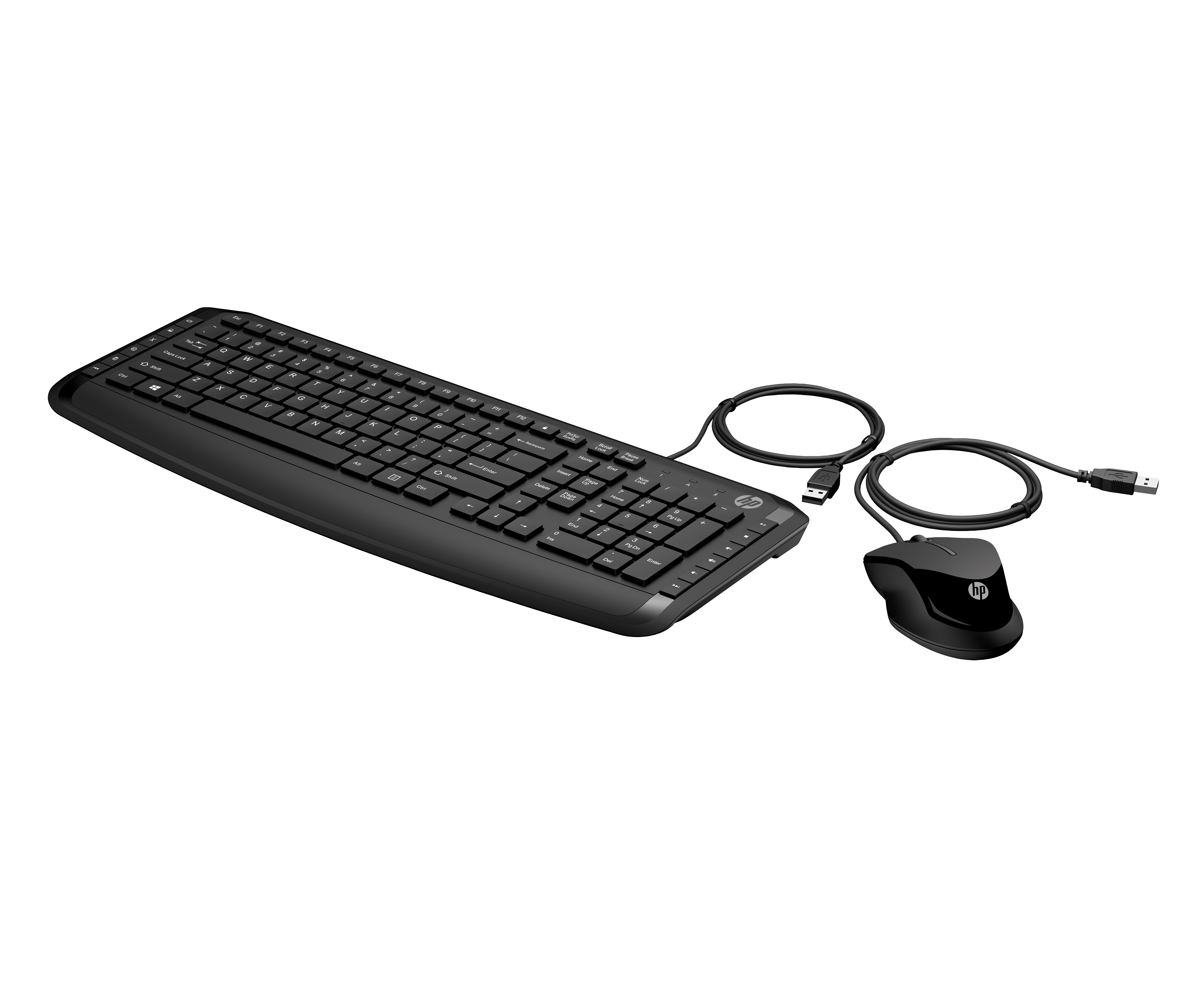 Teclado y ratón HP negros sobre fondo blanco. El teclado tiene teclas. El ratón es negro, ovalado y tiene el logotipo de HP.
