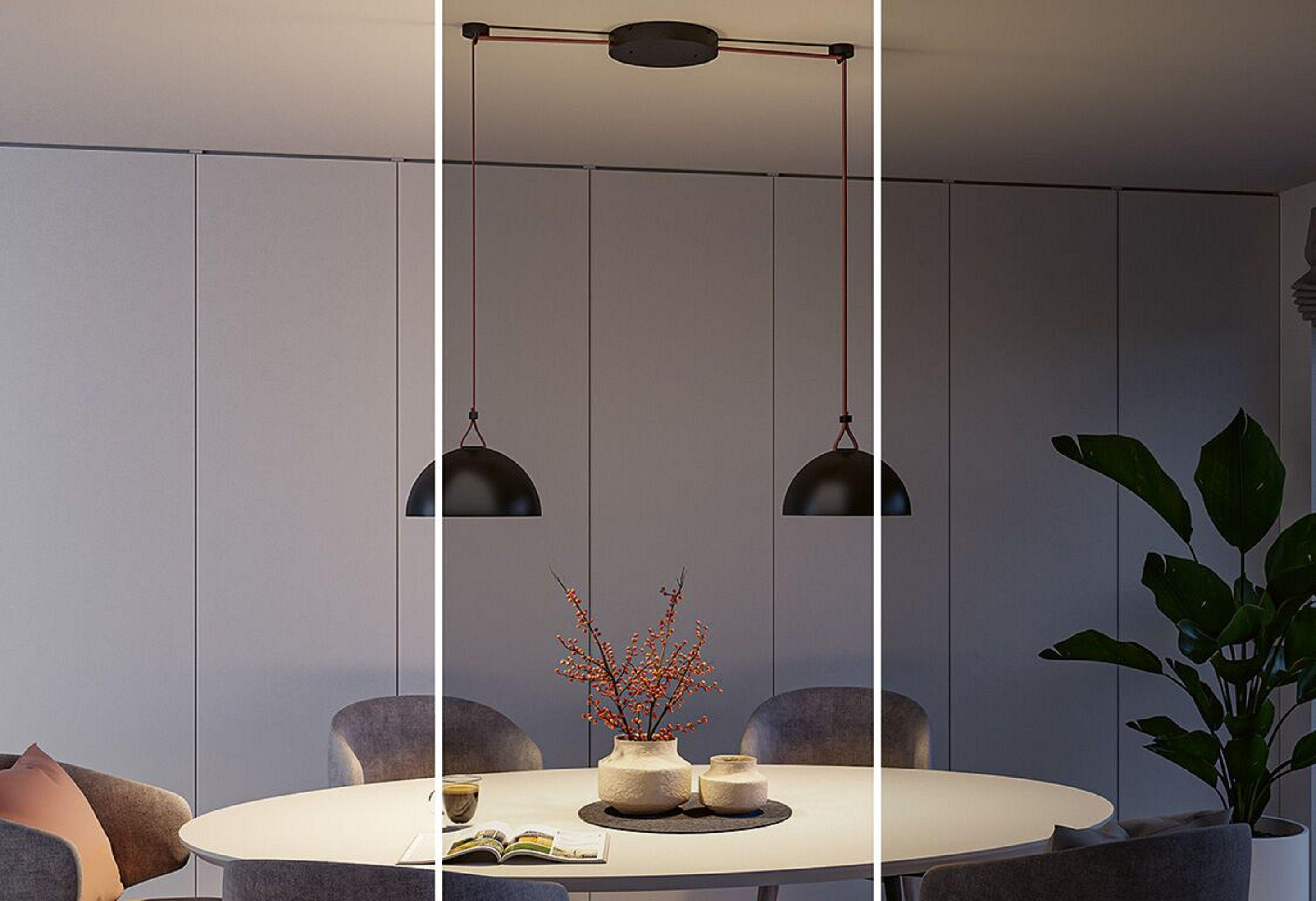 Une salle à manger avec des lampes suspendues, une table avec un vase de fleurs et des chaises. Une grande plante en arrière-plan.