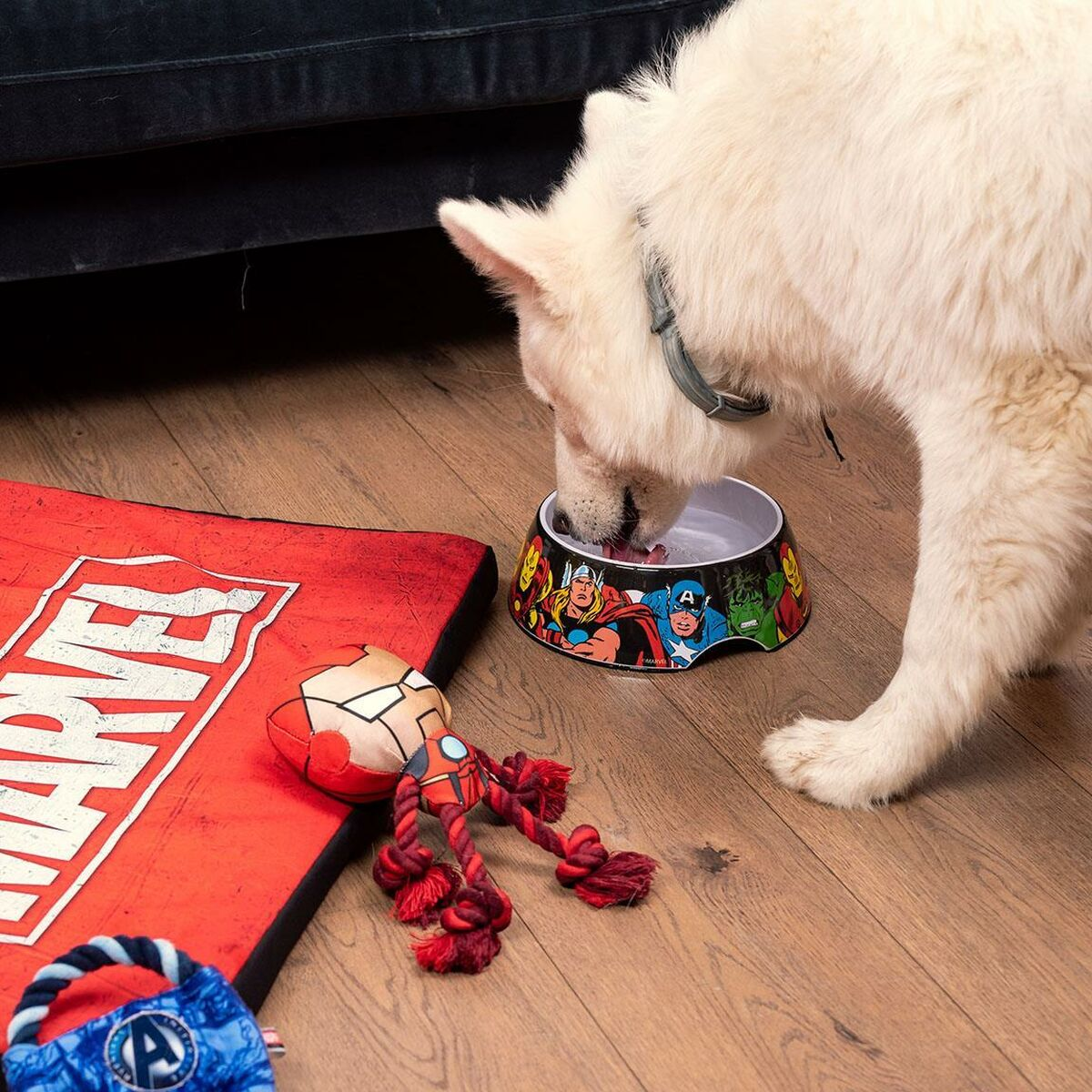 Un cane bianco mangia da una ciotola Marvel. Tappeto rosso Marvel e giocattolo di Iron Man nelle vicinanze. Pavimento in legno e divano nero sullo sfondo.