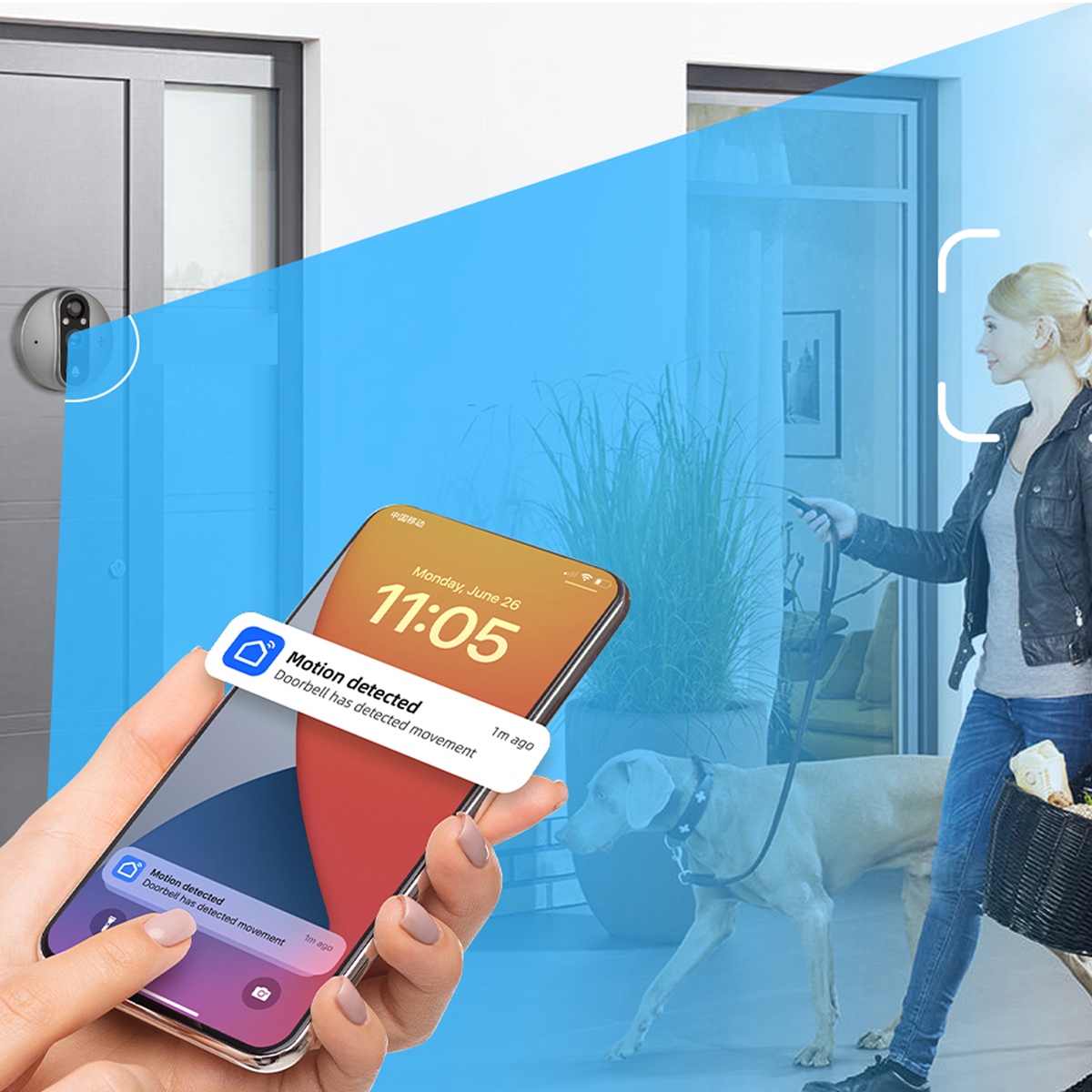 Telefon wyświetla powiadomienie o wykryciu ruchu. Kobieta spaceruje z psem, a na drzwiach widoczna jest kamera bezpieczeństwa.