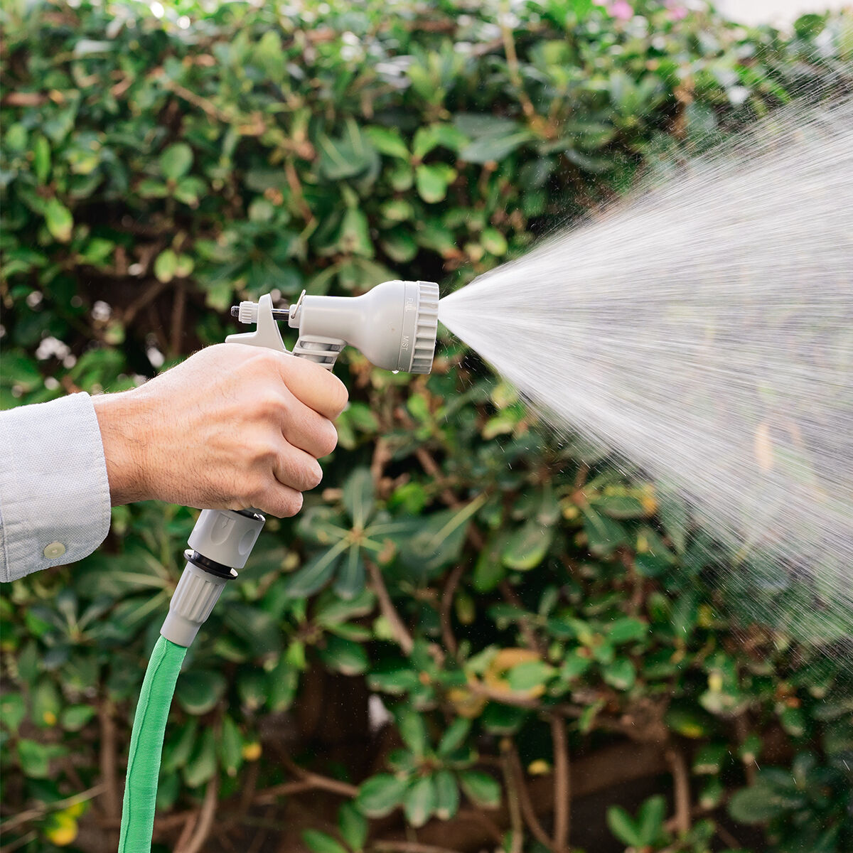 Eine Hand hält einen grauen Wassersprüher, der Wasser versprüht. Grüner Schlauch und ein üppiger grüner Busch im Hintergrund.