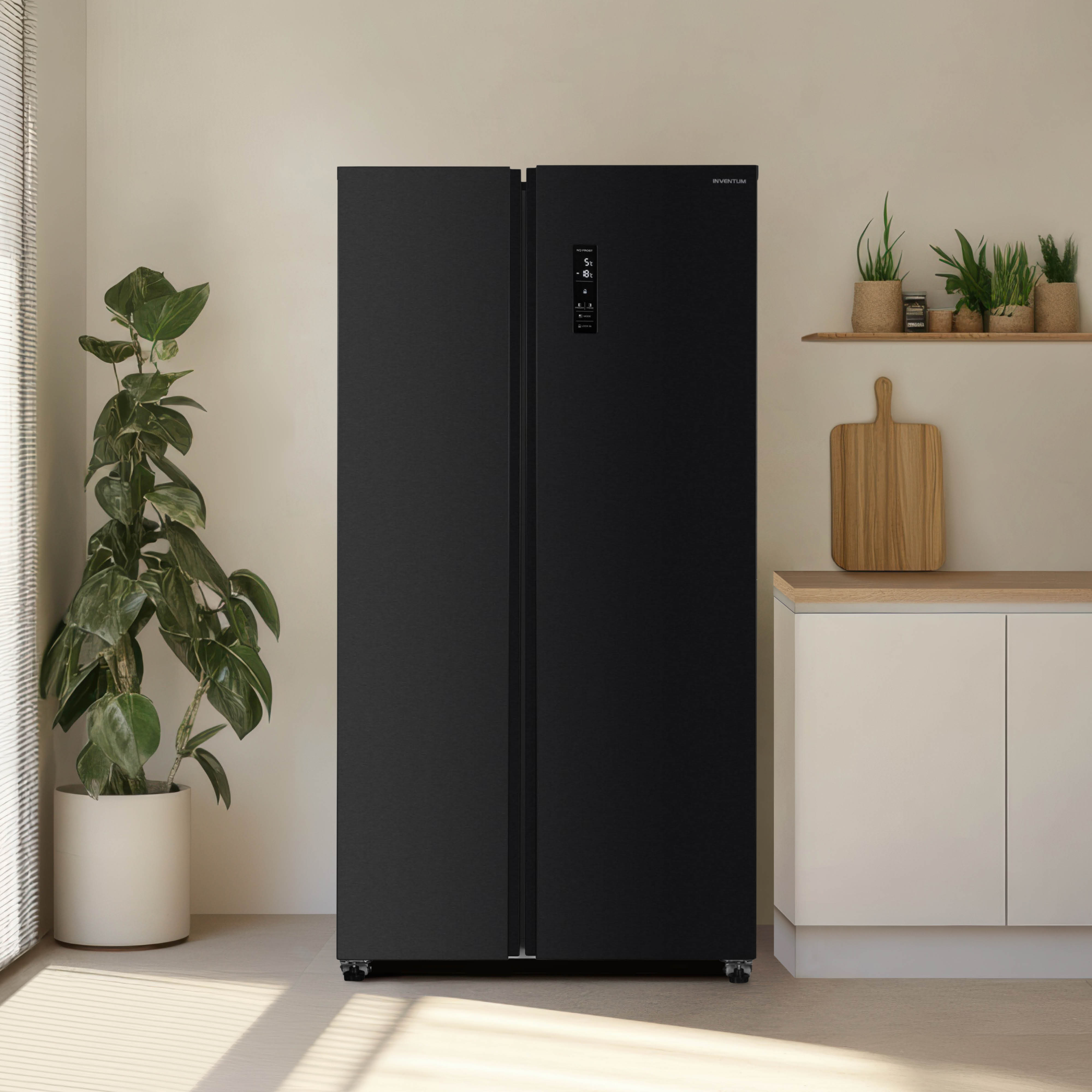 A black refrigerator stands in a kitchen. A large plant is to the left and small plants on a shelf to the right.