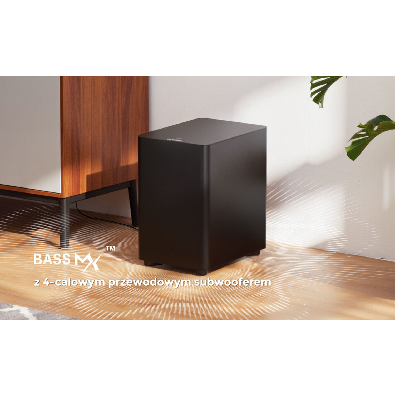 Czarny subwoofer stoi obok drewnianej szafki. Podłoga ma falisty wzór. Po prawej stronie roślina.