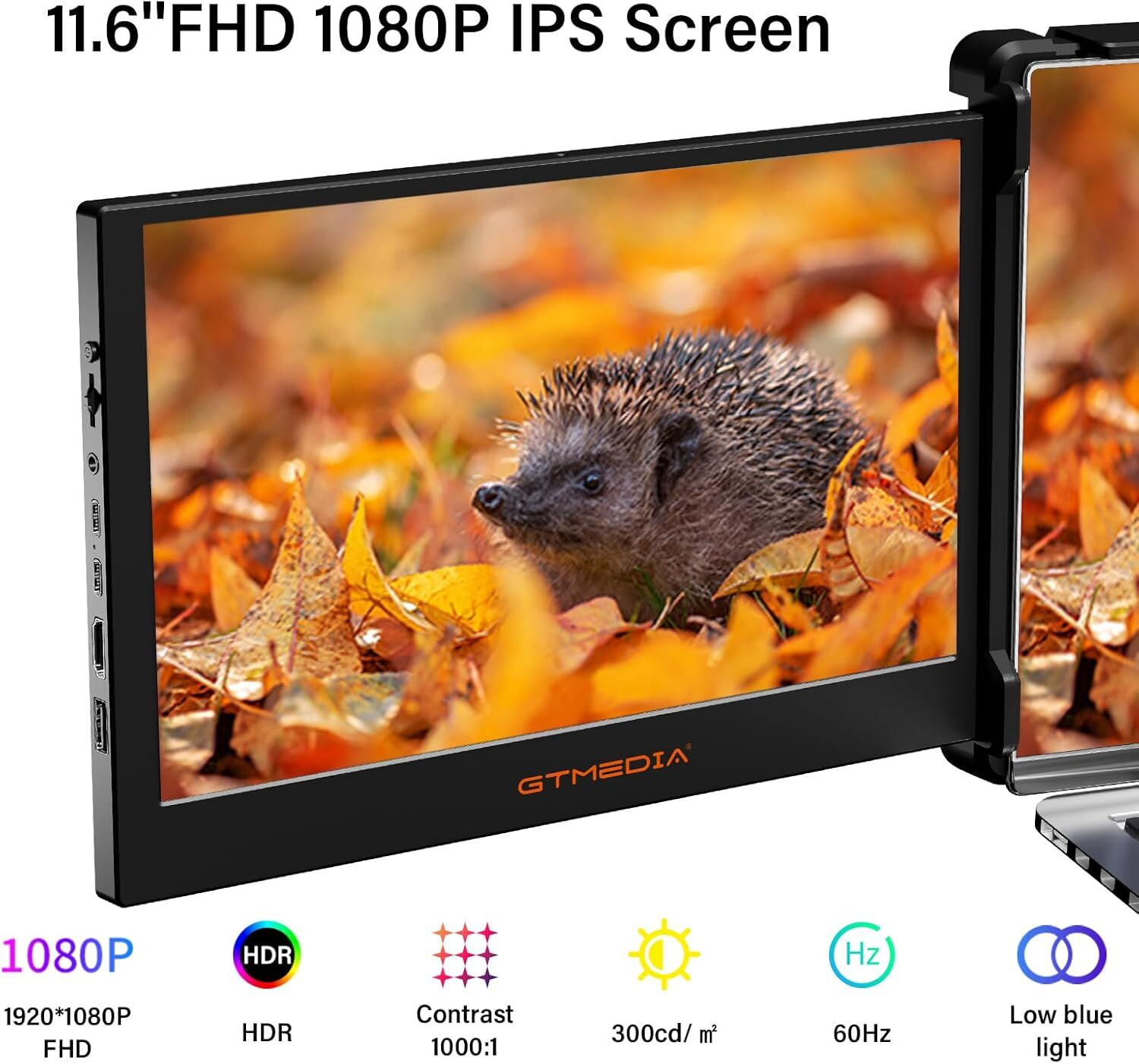 Una pantalla negra muestra un erizo en hojas. Arriba, el texto dice '11.6" FHD 1080P IPS Screen'.