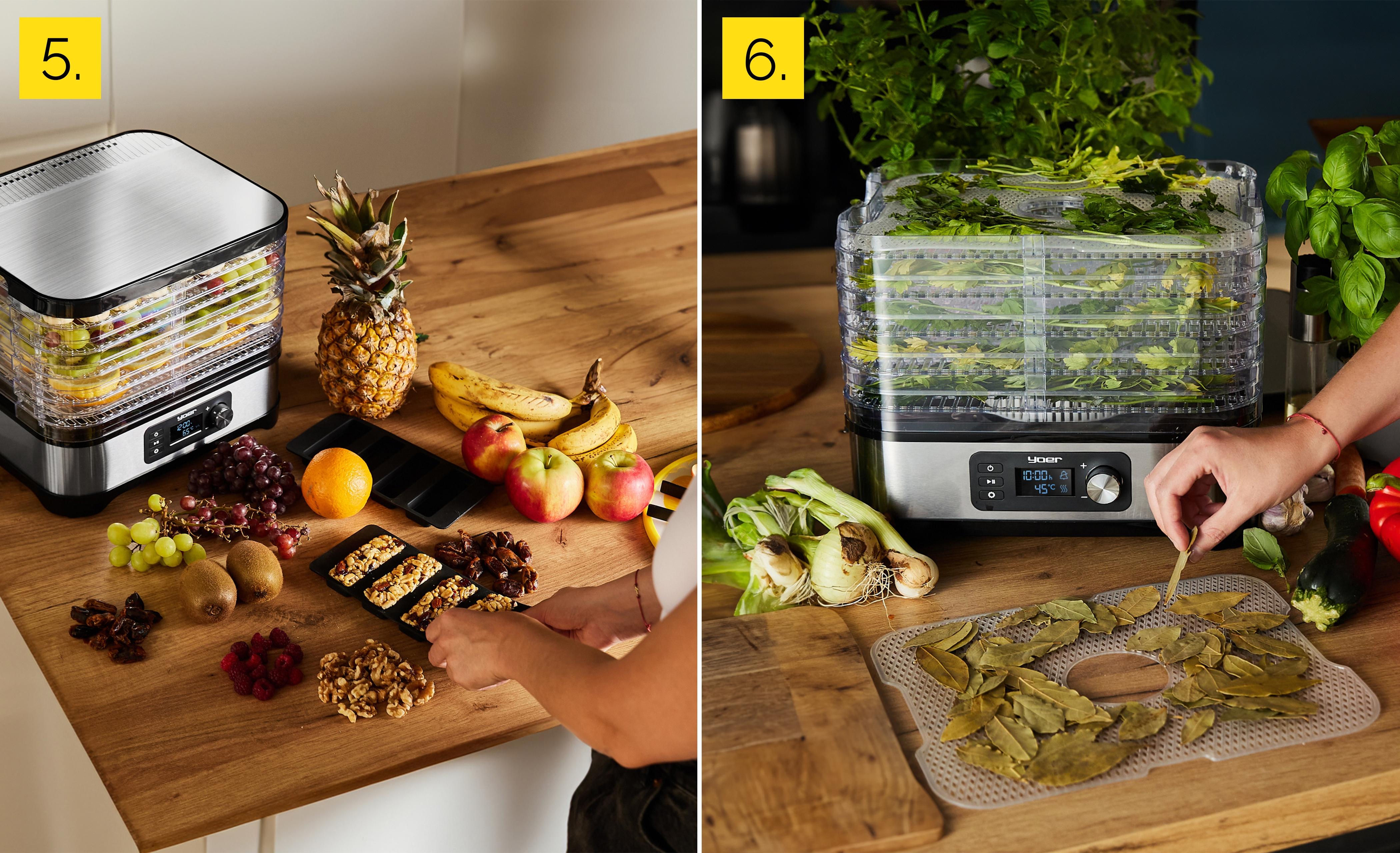 Scena kuchenna z suszarką do żywności, owocami, przekąskami i ziołami. Osoba układa liście laurowe na tacy.