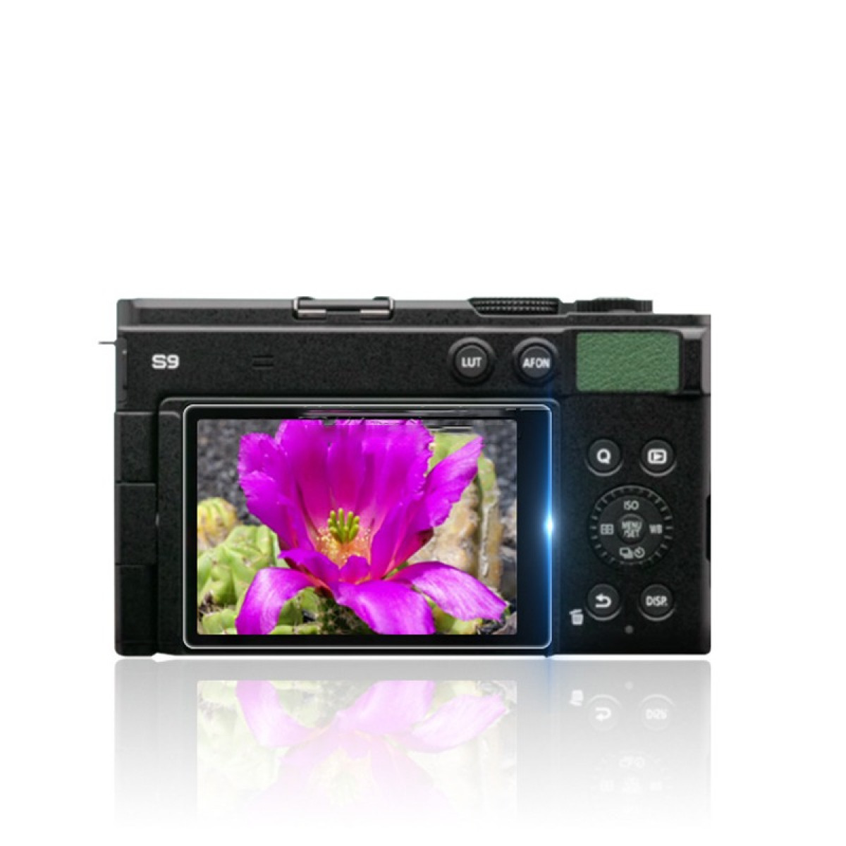 Fotocamera nera mostra primo piano di un fiore rosa brillante con centro giallo, che si riflette sotto. Accenti verdi sulla fotocamera.