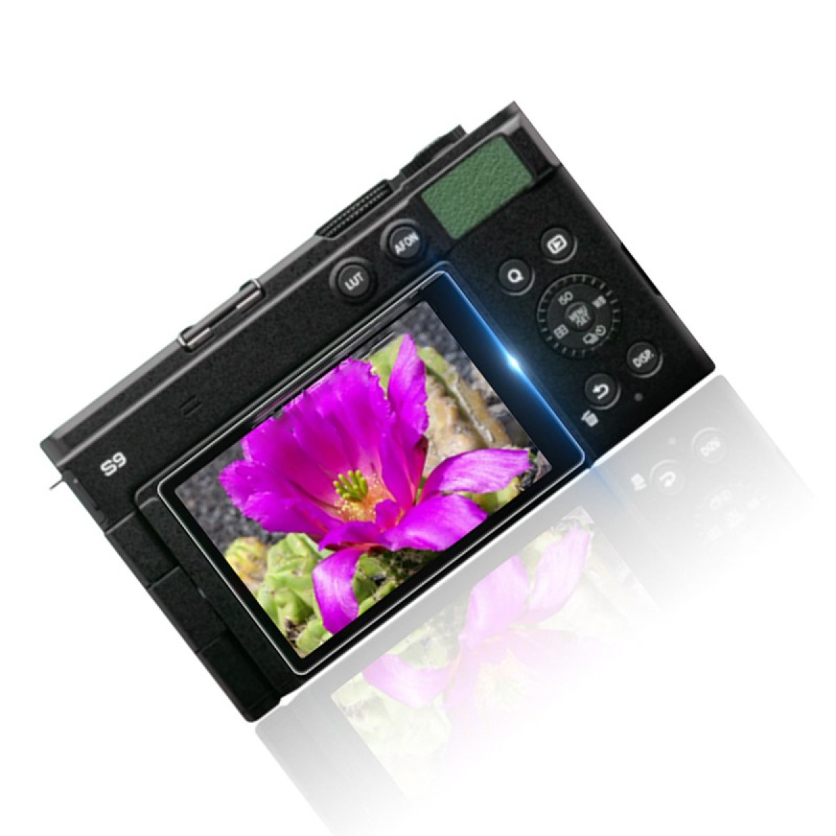 Una fotocamera nera mostra un vibrante fiore rosa con un centro giallo. La fotocamera è angolata, con sfondo bianco e riflesso.