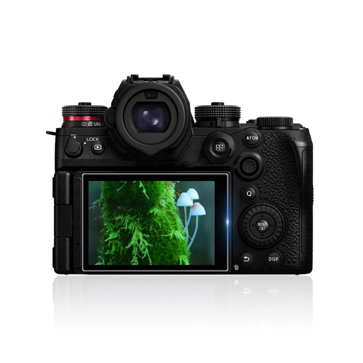 Una fotocamera nera mostra una foto di funghi su un albero coperto di muschio. La fotocamera è su sfondo bianco.