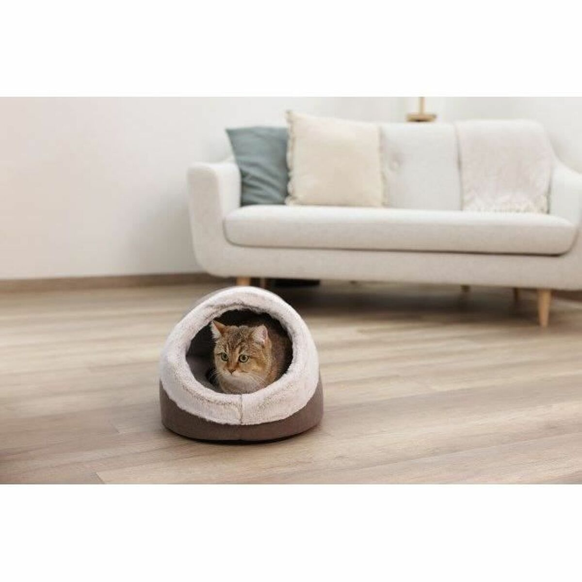 Eine getigerte Katze sitzt in einem Katzenbett auf einem Holzboden. Hinter dem Katzenbett steht ein weißes Sofa mit Kissen.