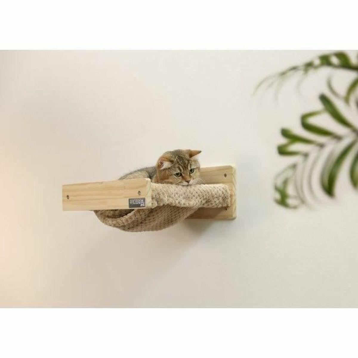 Eine braune getigerte Katze ruht auf einem hölzernen Katzenregal an einer weißen Wand. Grüne Blätter im Hintergrund.