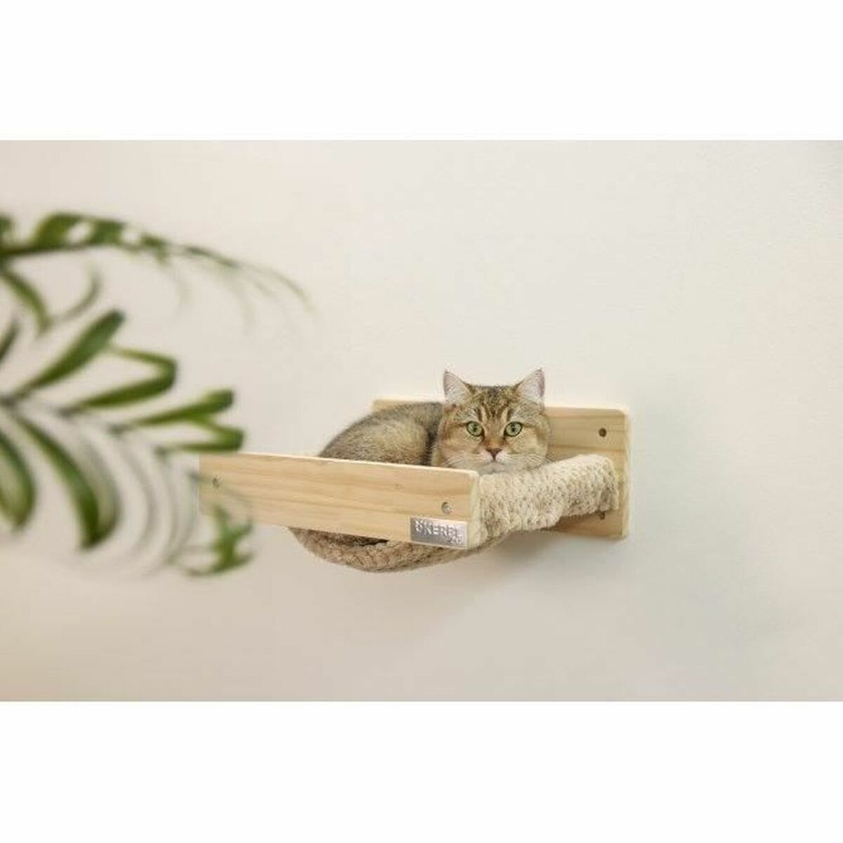 Eine Katze liegt auf einem hölzernen Katzenbett an einer weißen Wand. Die Katze hat braunes Fell und grüne Augen und blickt in die Kamera.