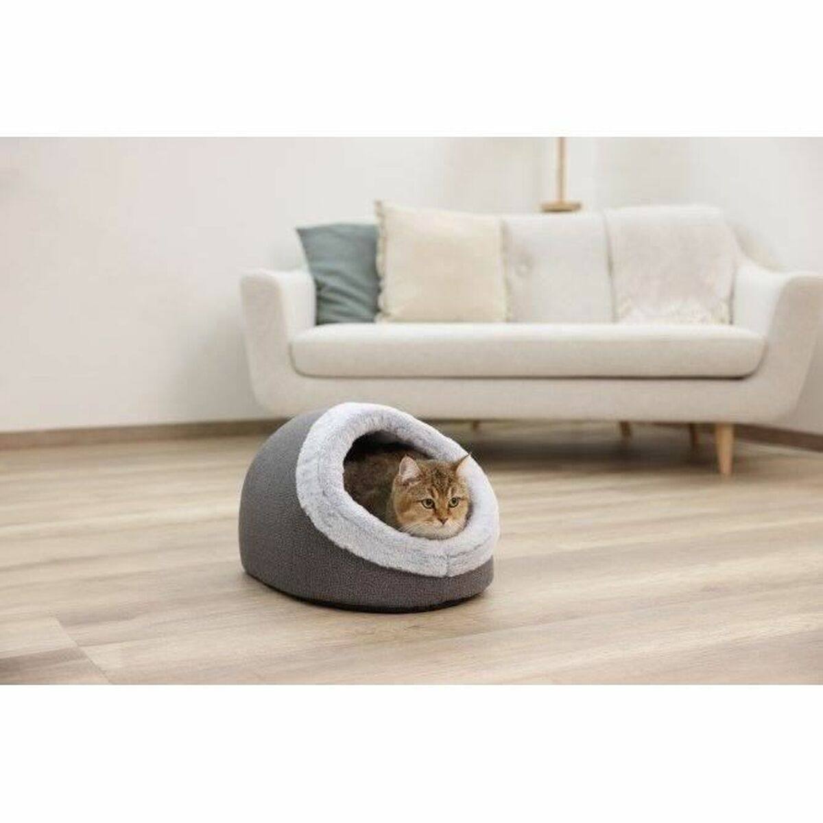 Eine Katze sitzt in einem grauen Bett mit weißer Verkleidung auf einem Holzboden. Im Hintergrund befindet sich ein weißes Sofa mit Kissen.