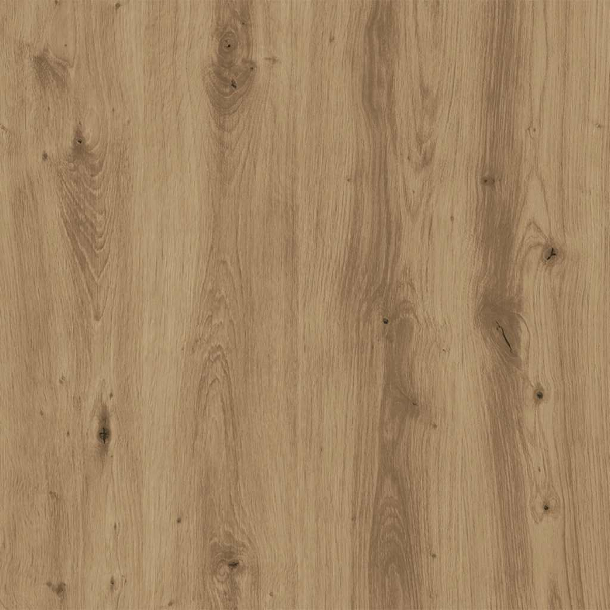 Nahaufnahme einer Holzoberfläche. Vertikales Holzmaserungsmuster in Braun- und Beigetönen. Knoten und Variationen sichtbar.