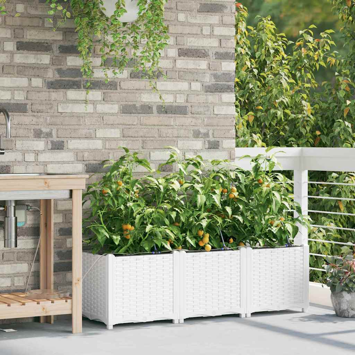 Weiße, gewebte Pflanzgefäße mit Tomatenpflanzen, Backsteinmauer im Hintergrund, grünes Laub und ein Holztisch auf einer Terrasse.