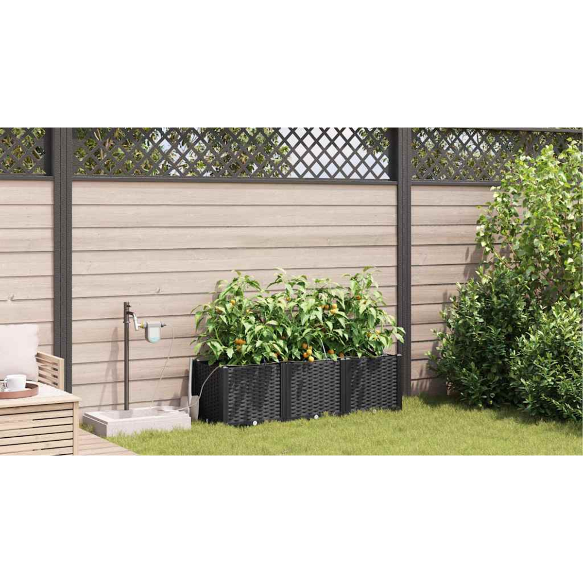 Una scena del giardino con fioriere nere rialzate piene di piante. Un rubinetto dell'acqua e una recinzione in legno sullo sfondo.