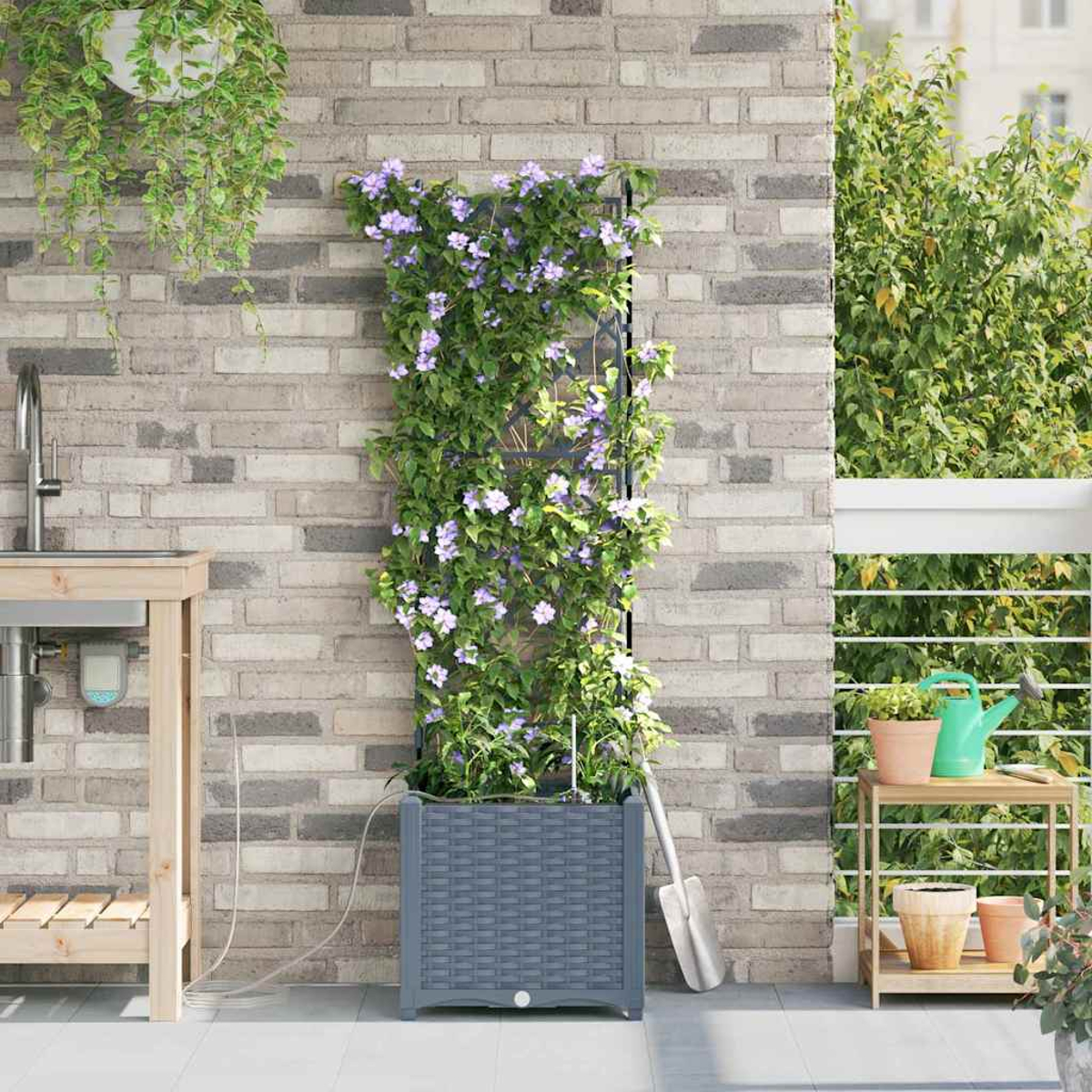 Una scena di giardino con una pianta in un vaso grigio con fiori viola, contro un muro di mattoni. Una pala è appoggiata accanto.