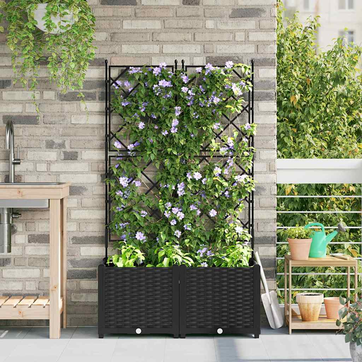 Una fioriera nera con un traliccio pieno di fiori viola e foglie verdi. È posizionata contro un muro di mattoni, con altre piante nelle vicinanze.